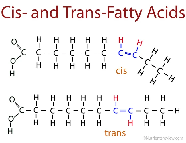 Here are the two types of unsaturated fats. Cis have the hydrogen on the same side and trans alternate sides.