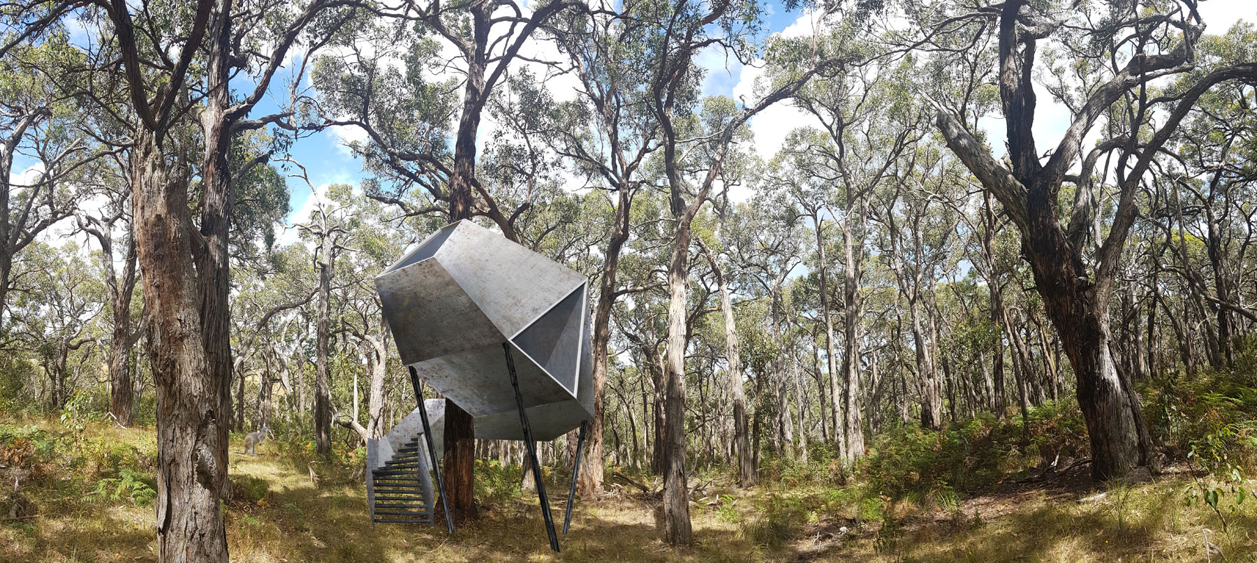 Moloughney Designs Redhill Treehouse 1.jpg