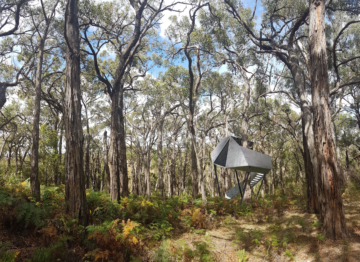 Moloughney Designs Redhill Treehouse 2.jpg