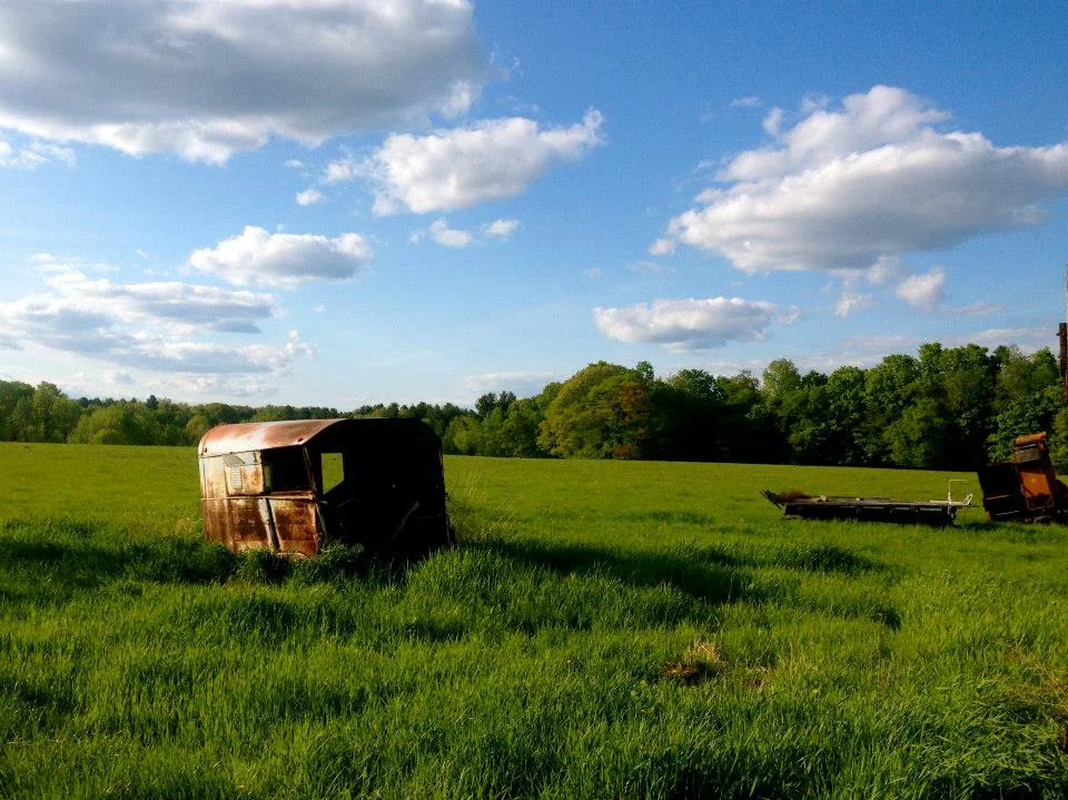 farm2.jpg