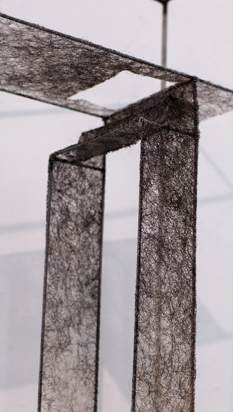 DSC_0627-edited-web.jpg