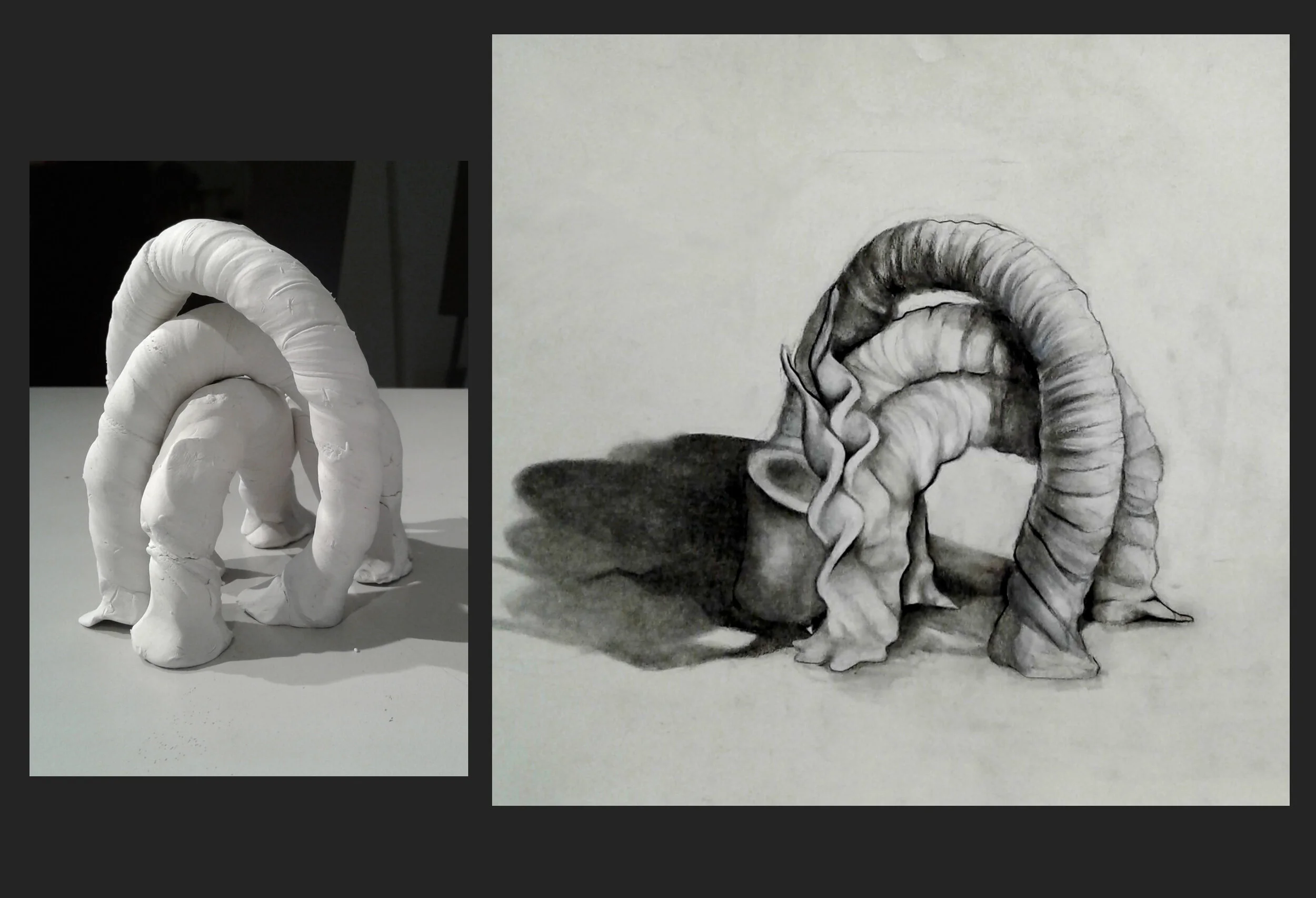 Biomorphic Sculpture & Drawing, Plastalina Clay & Charcoal, 18 x 24", 2018. By Erin Fitzgerald