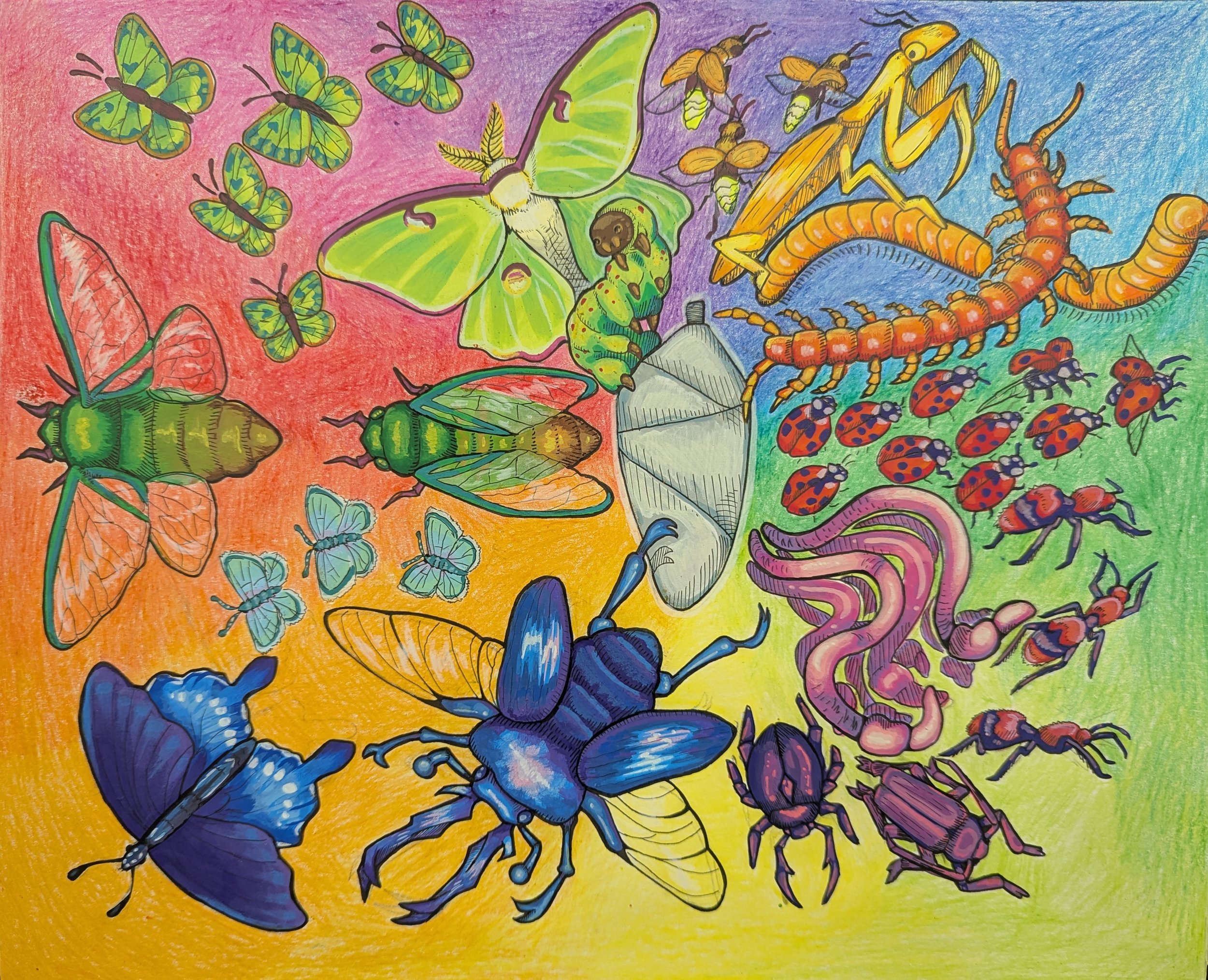 Creative Color Wheel / 2D Design Project by Oryn Robbins