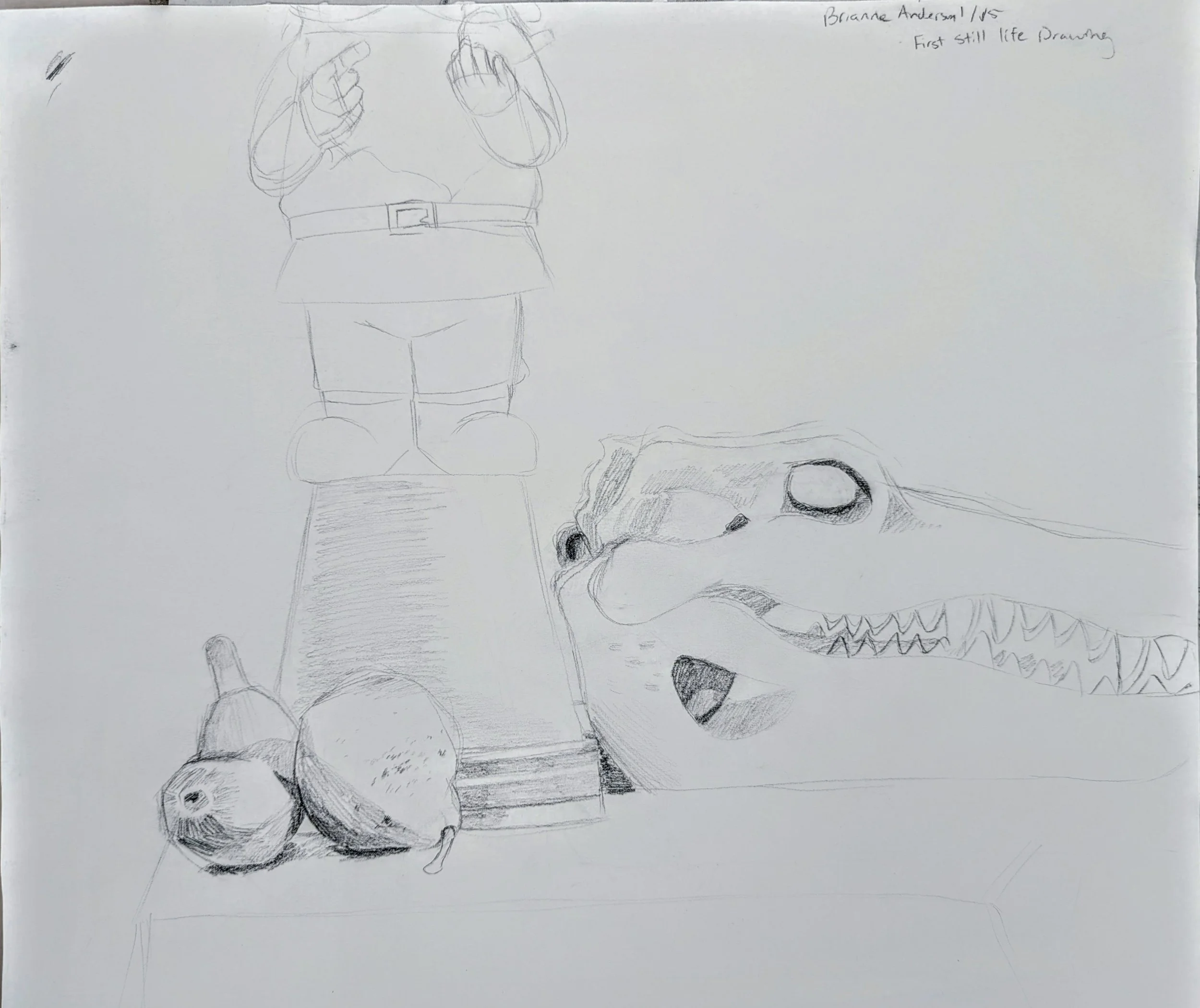 Evidence of Progress Still Life, by Brianne Anderson. First Day Drawing, 2025.