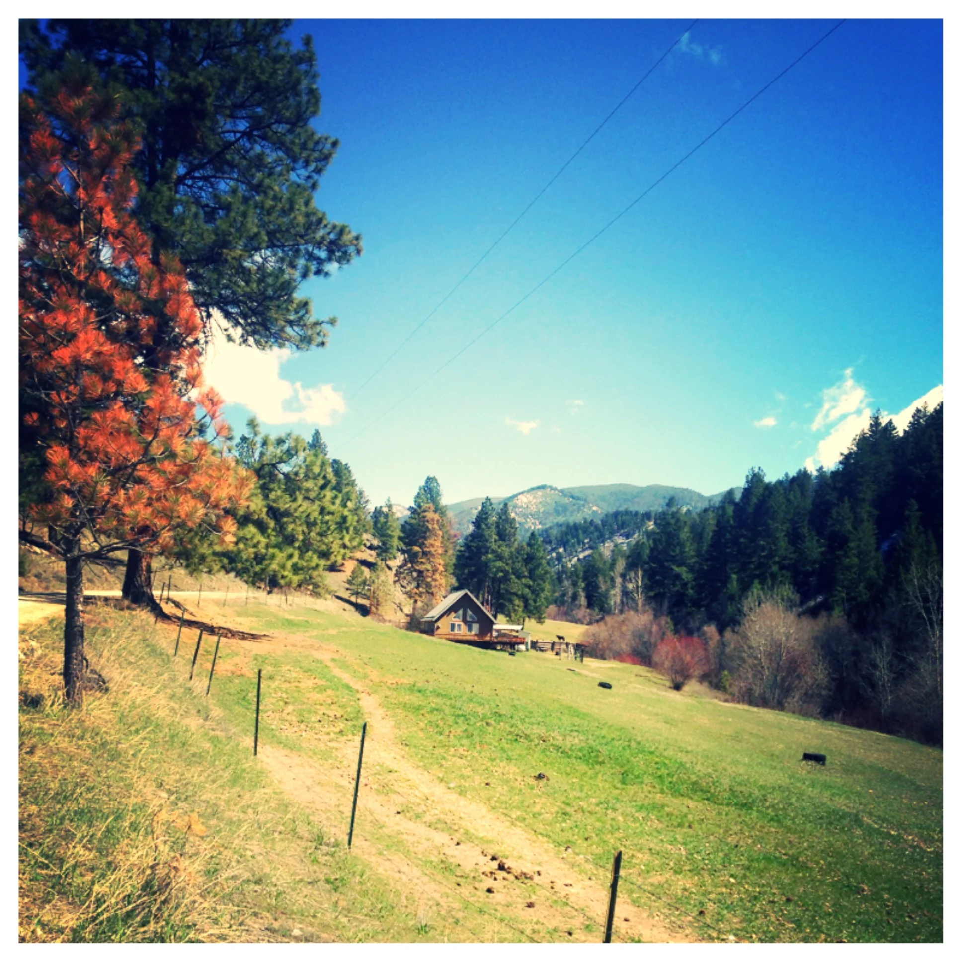 Contact Robinson Ranch — Robinson Ranch