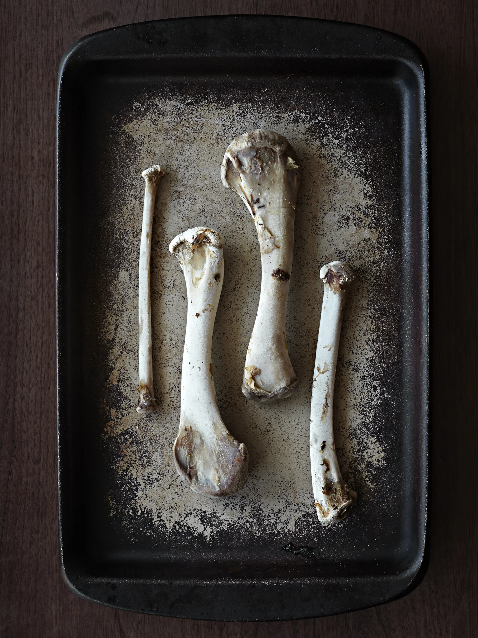 TurkeyBones-560-Web.jpg