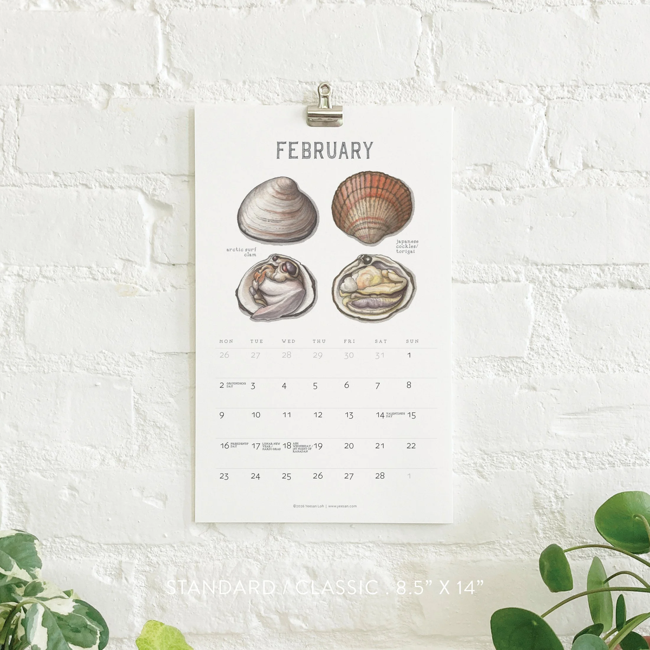 2026_shop_Calendars_Shellfish4.jpg