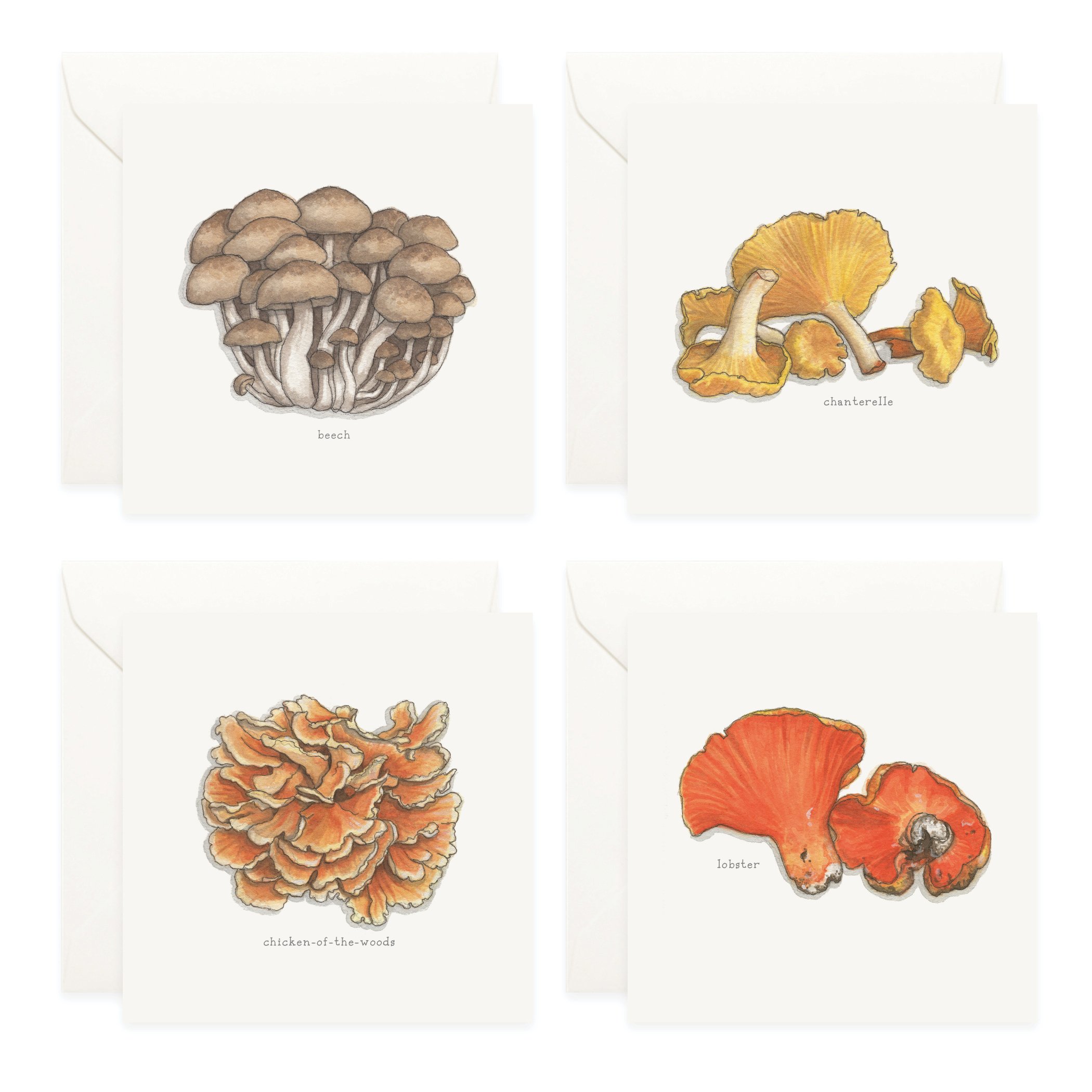 Shop_Box Set_Mushrooms3.jpg