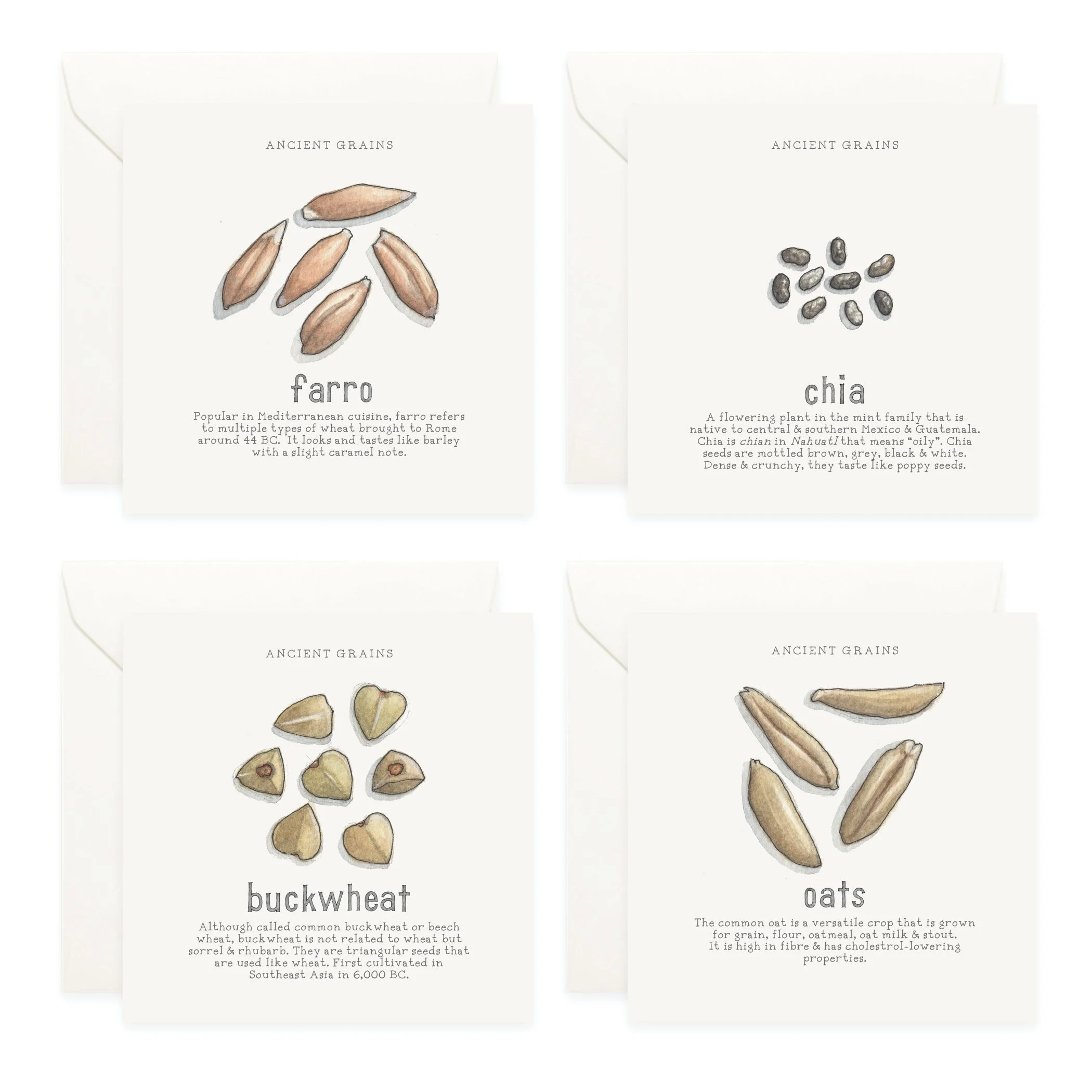 Shop_Box Set_Squash_Ancient Grains3.jpg