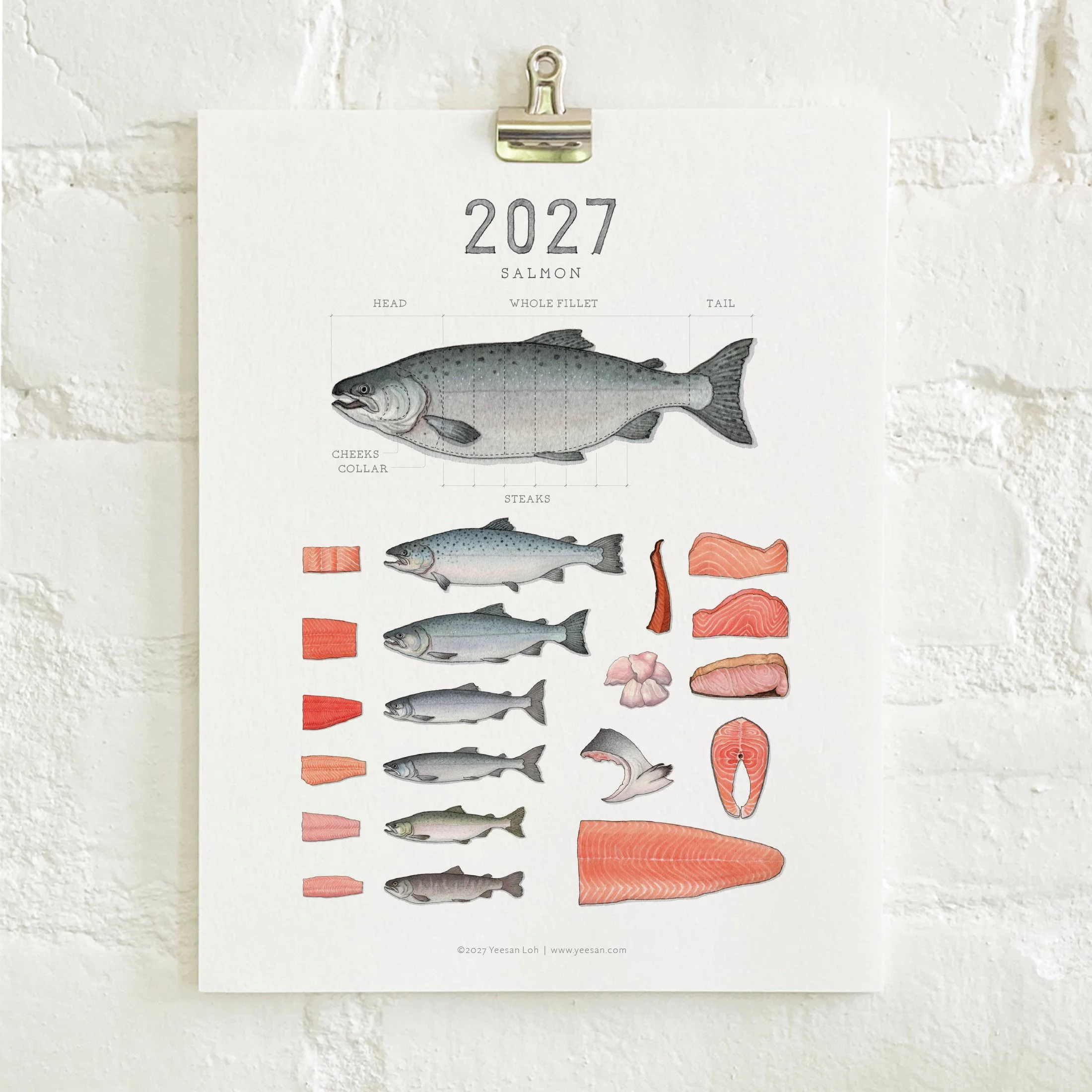 2027_shop_CAL_Salmon6.jpg