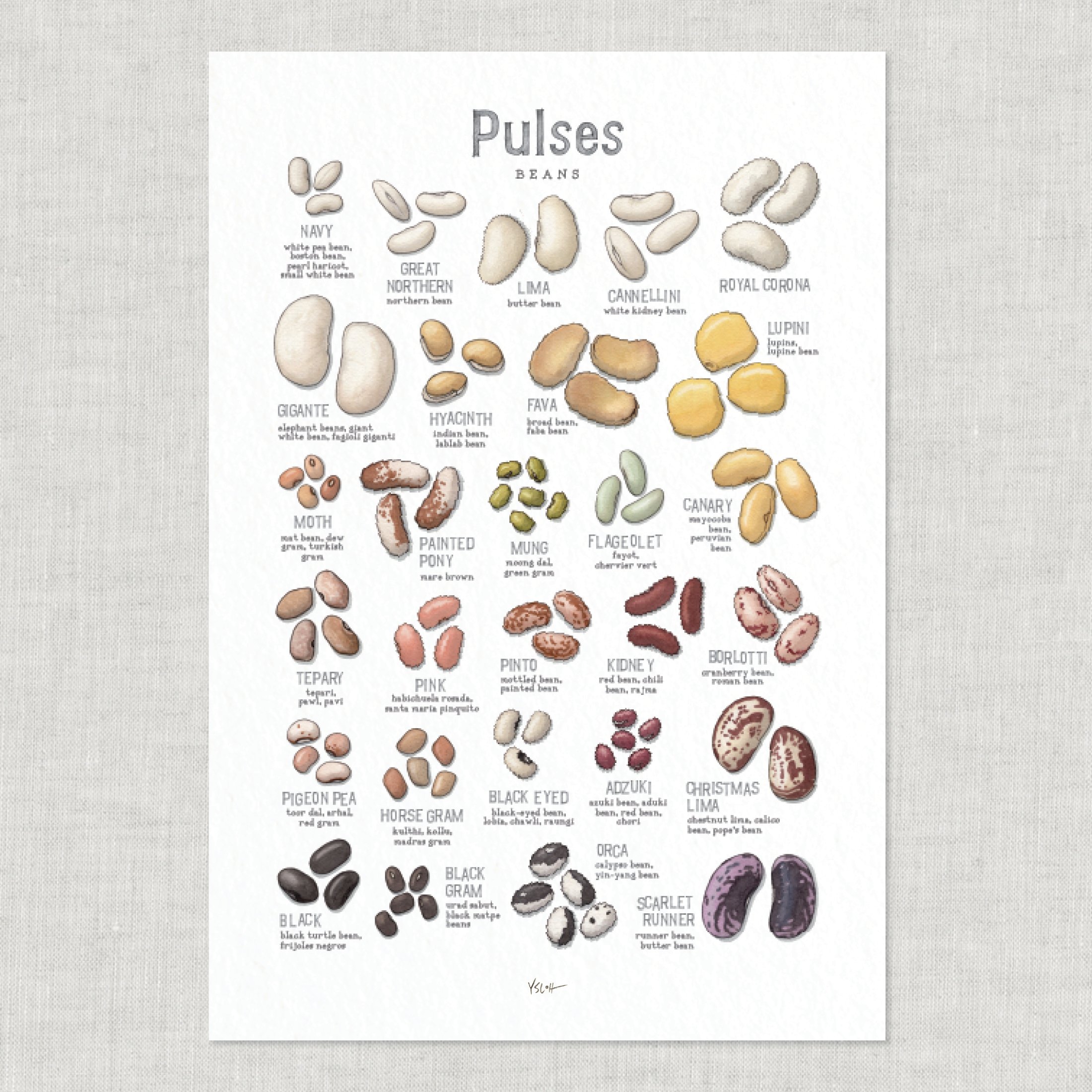 Shop_Poster_13x19_Pulses3.jpg