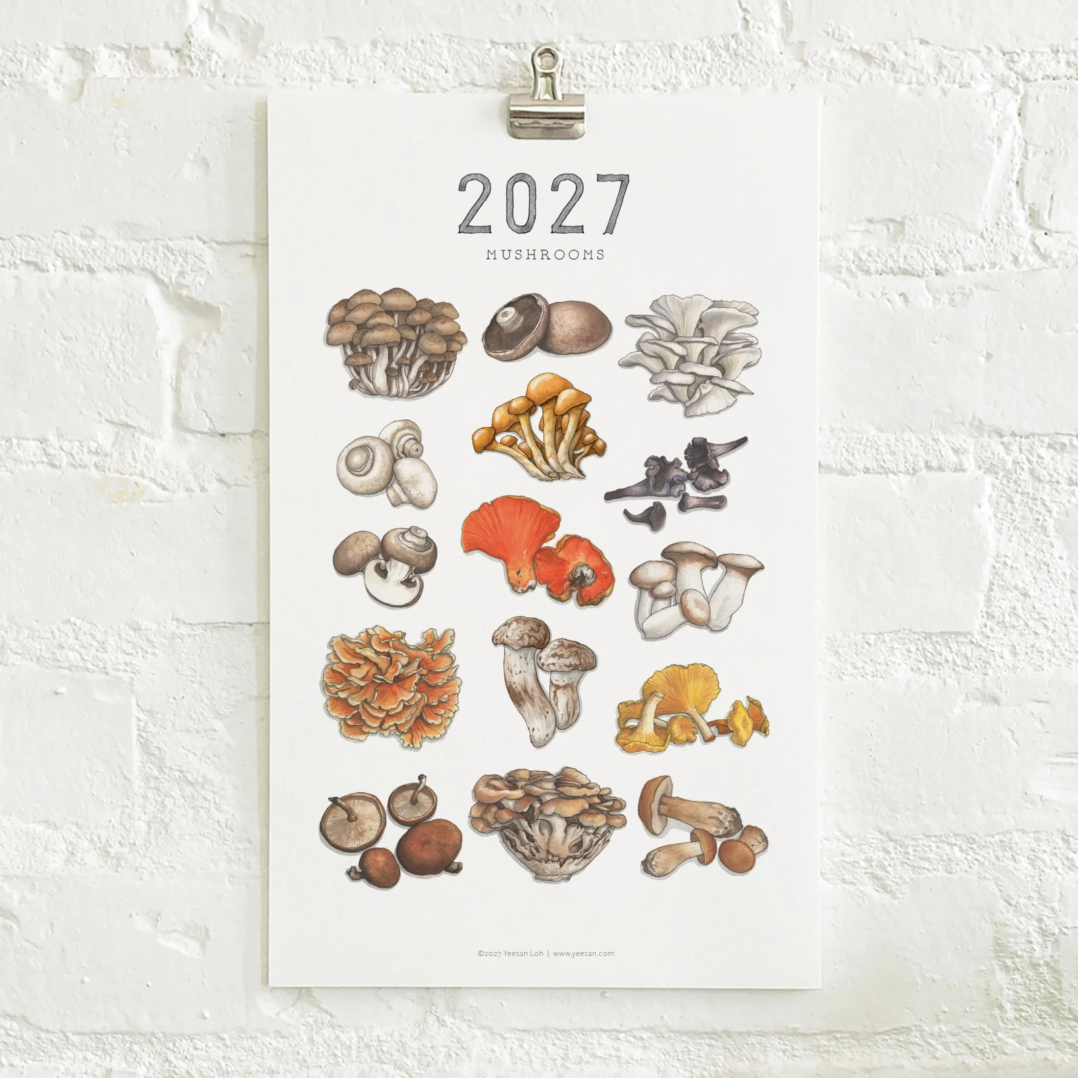 2027_shop_CAL_Mushrooms2.jpg