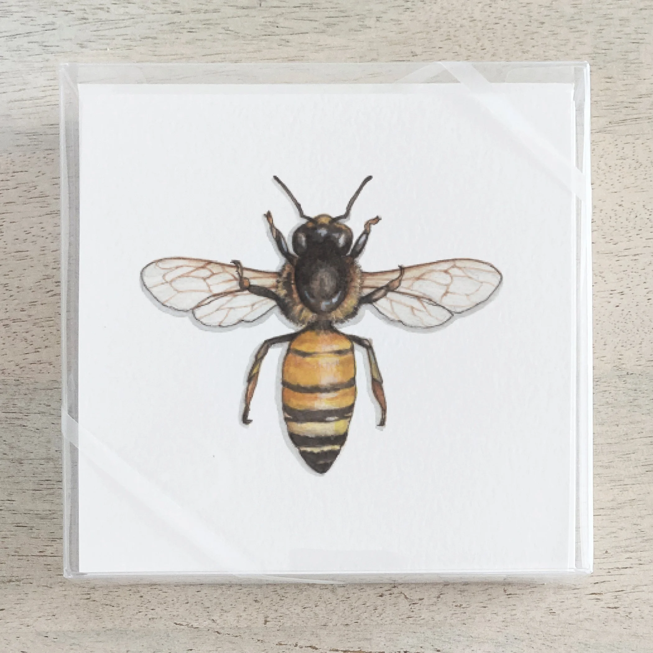 Shop_Box Set_HoneyBee.jpg