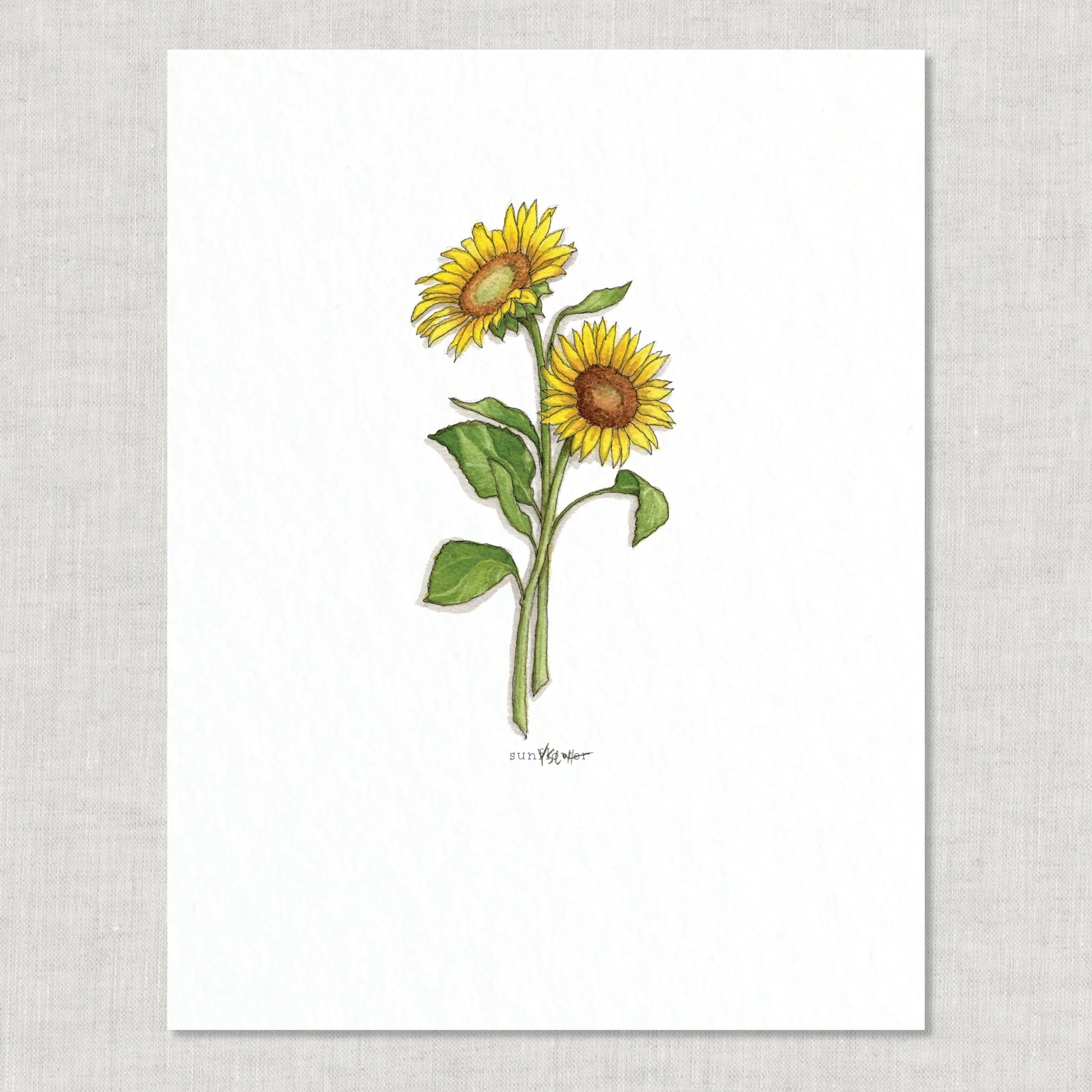 Shop_8.5x11_print_Edible Flowers26.jpg