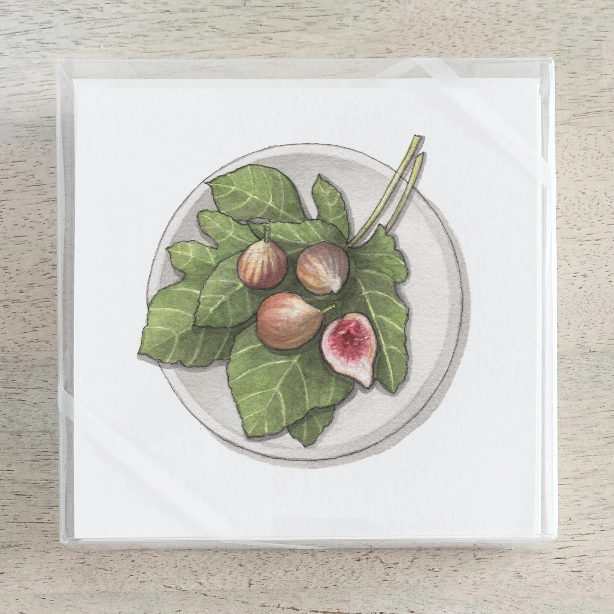 Shop_Box Set_Figs.jpg