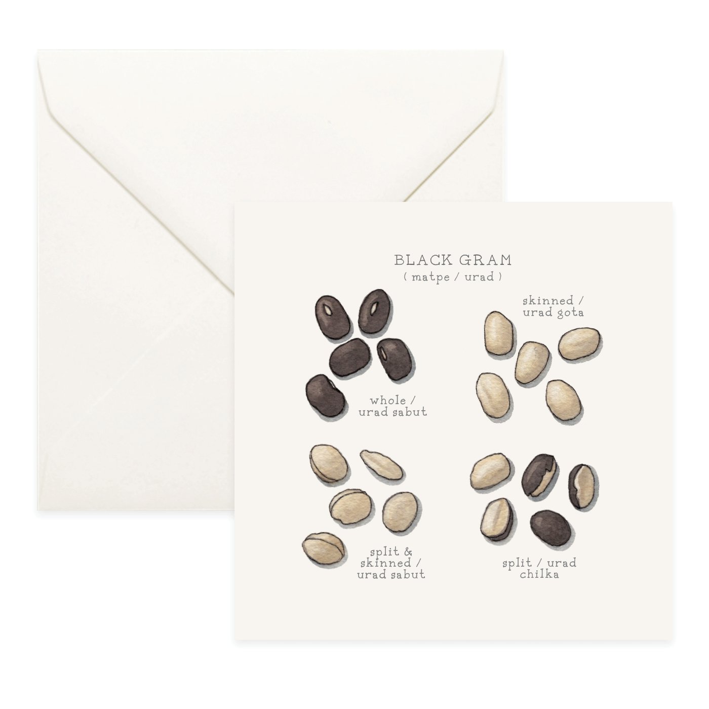 Shop_Cards_Pulses8.jpg