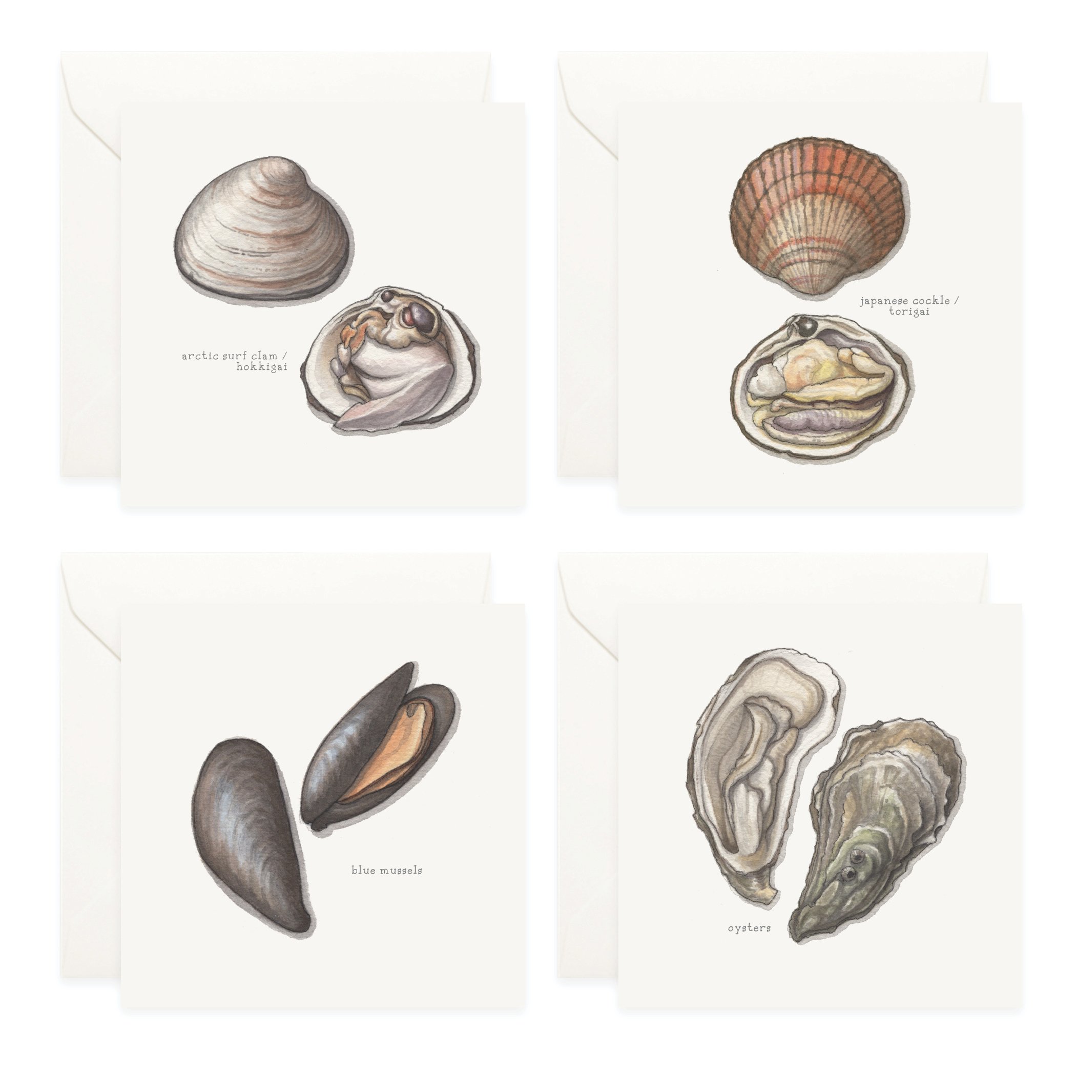 Shop_Box Set_Bivalves4.jpg