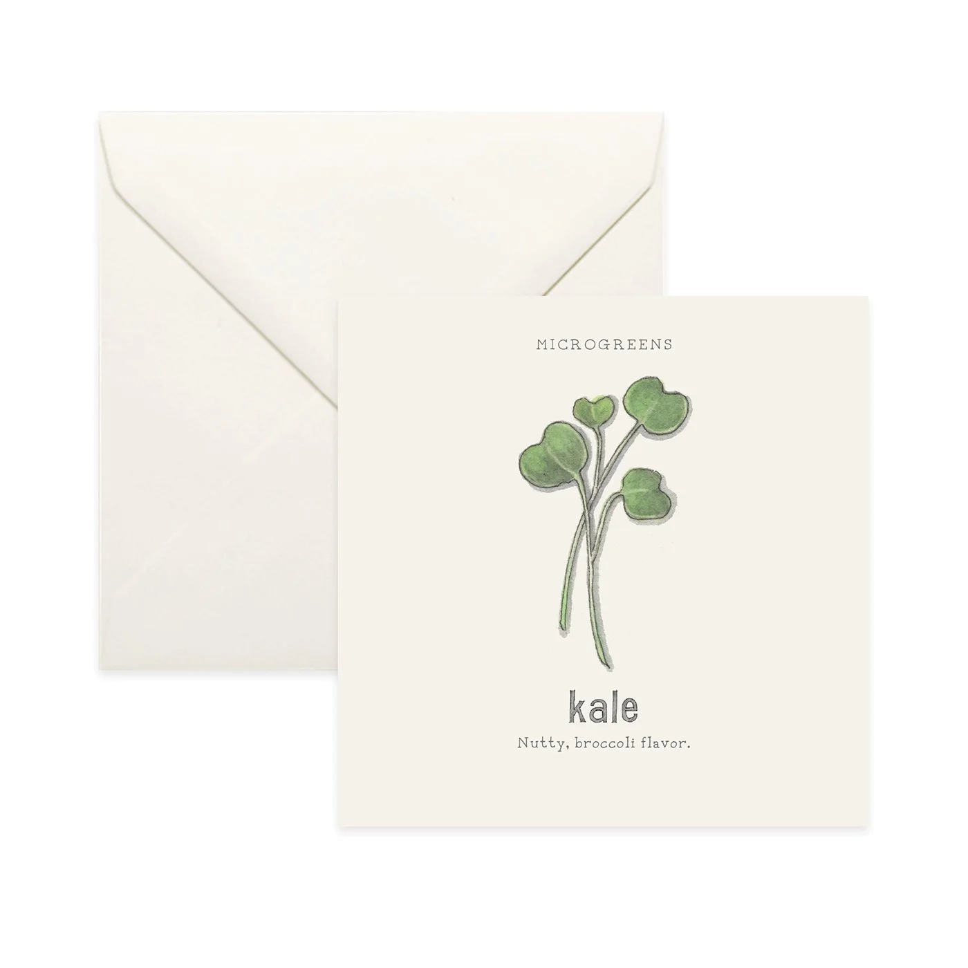 Sprouts & Microgreens 02 | Cards