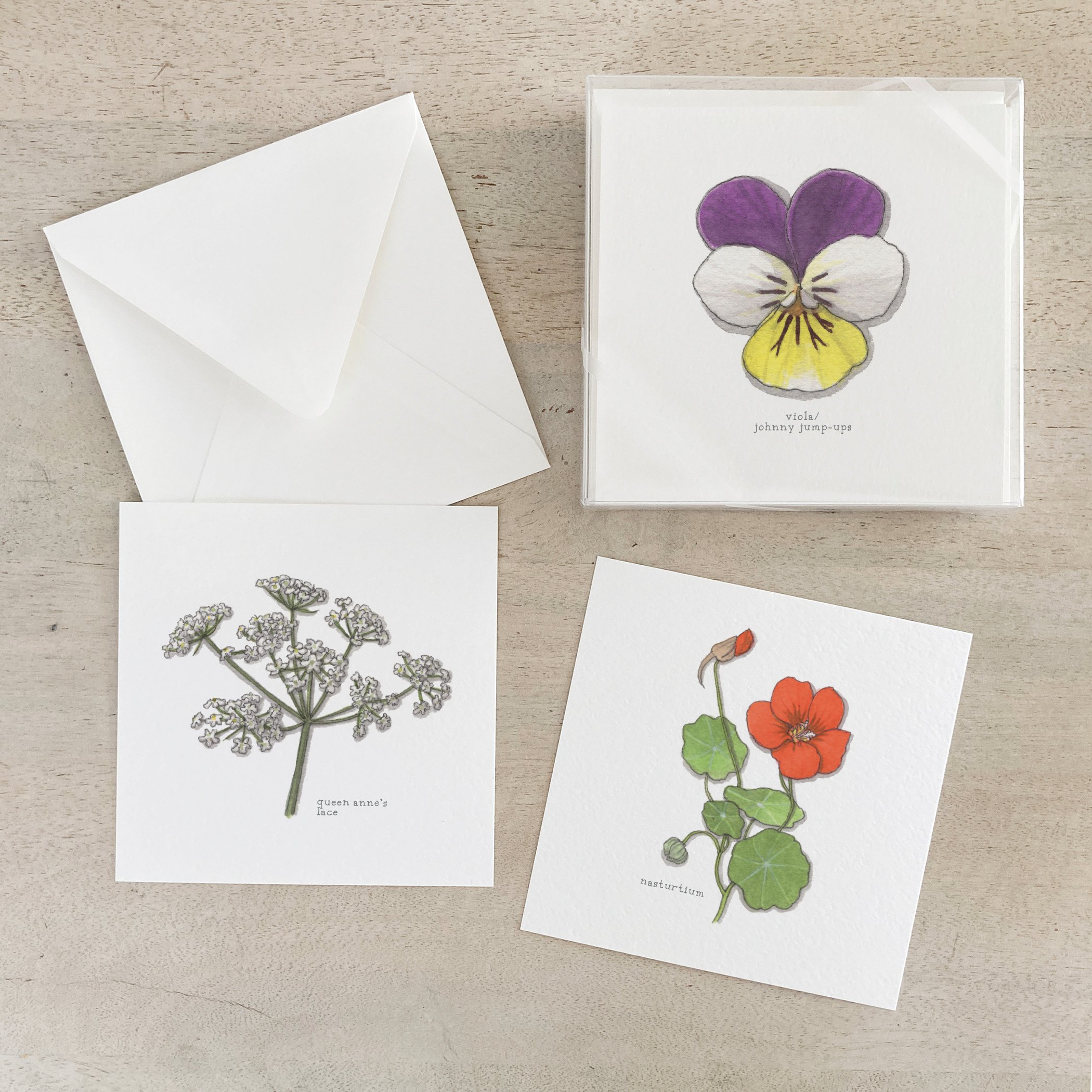 Edible Flowers 02 | Box Set Cards