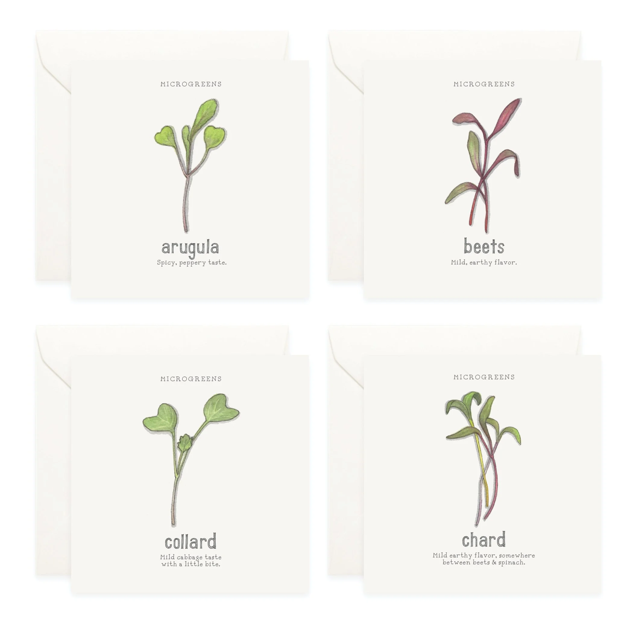 Shop_Box Set_Microgreens3.jpg