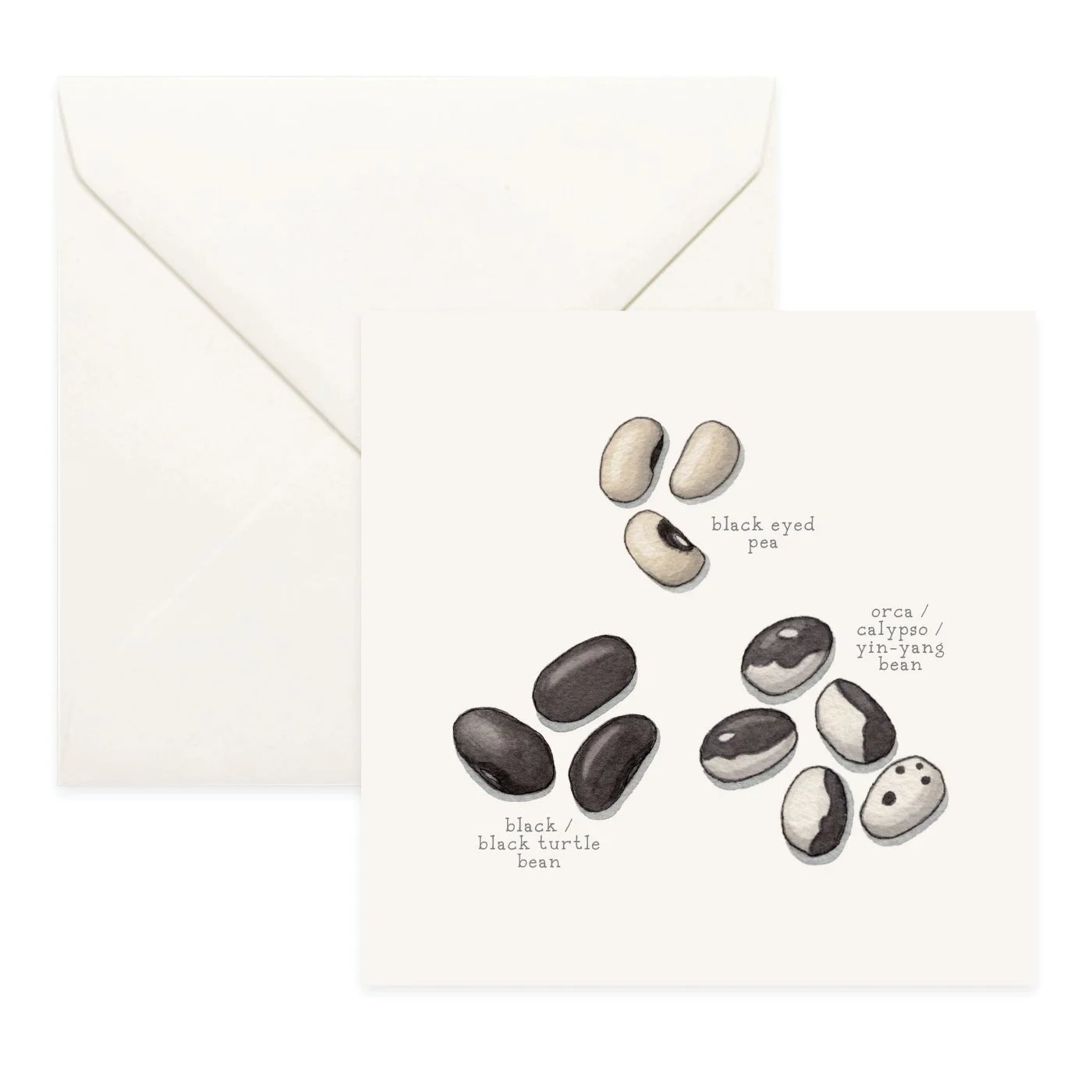 Shop_Cards_Pulses11.jpg