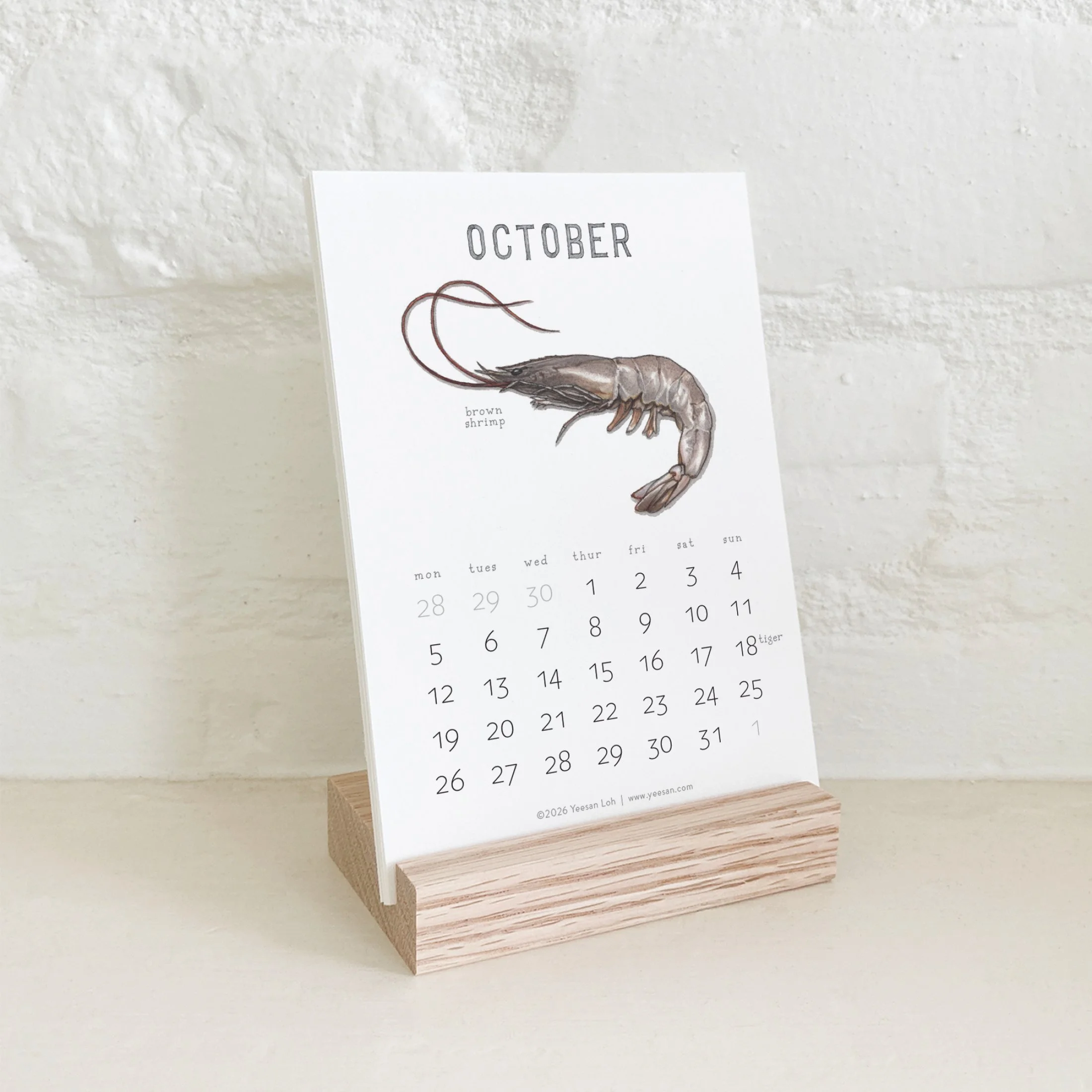 2026_shop_Calendars_Shellfish12.jpg