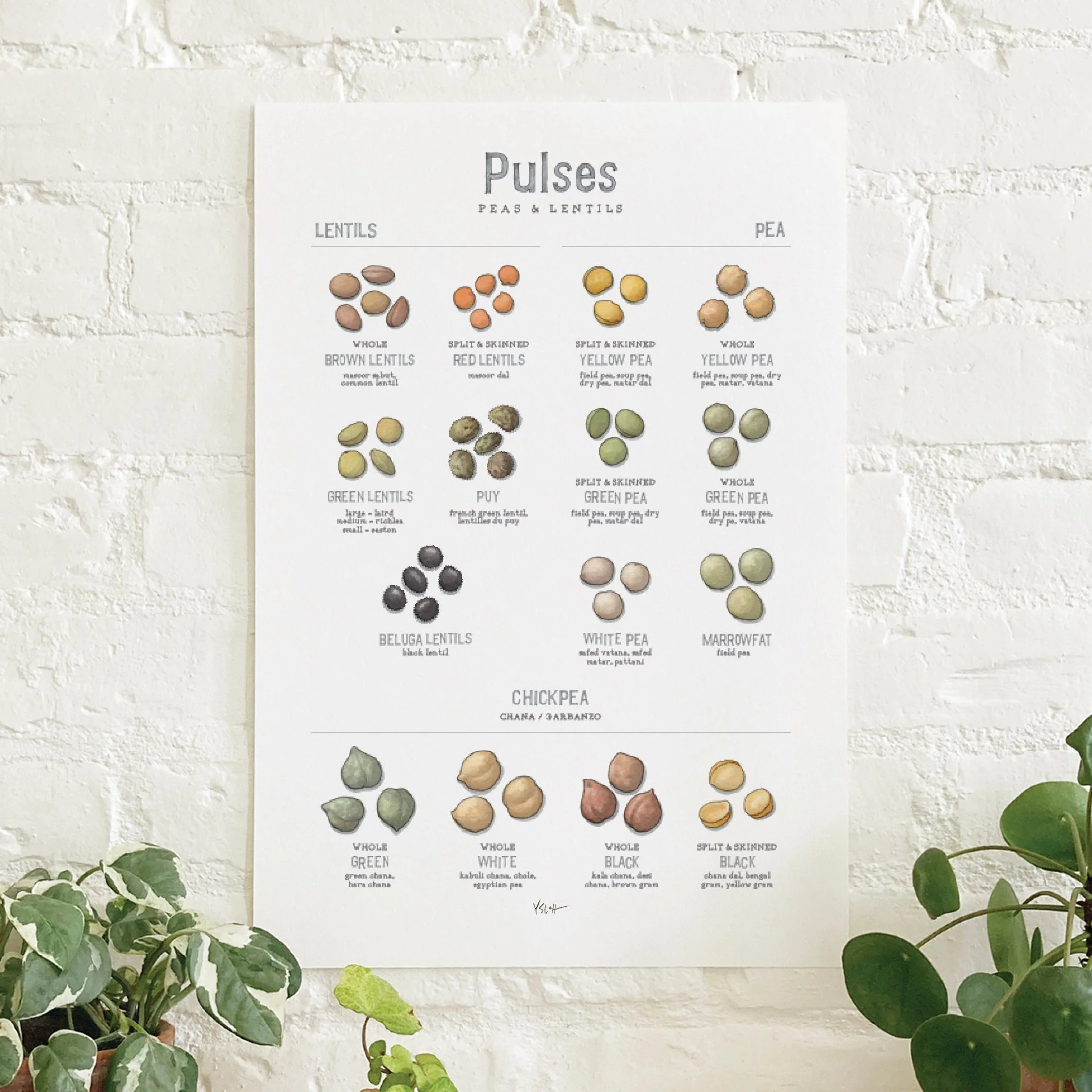 Shop_Poster_13x19_Pulses4.jpg