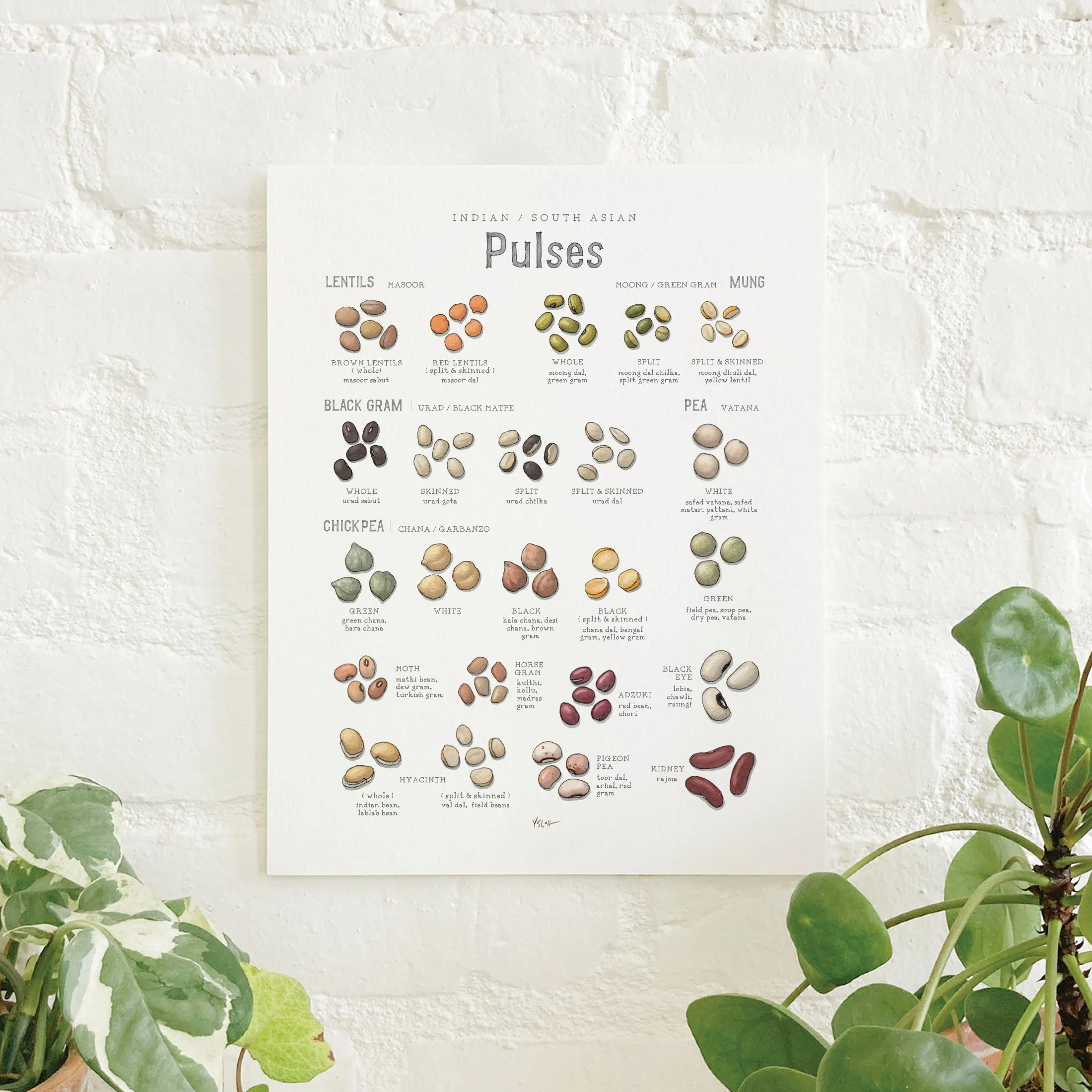 Shop_Prints_8.5x11_Pulses7.jpg