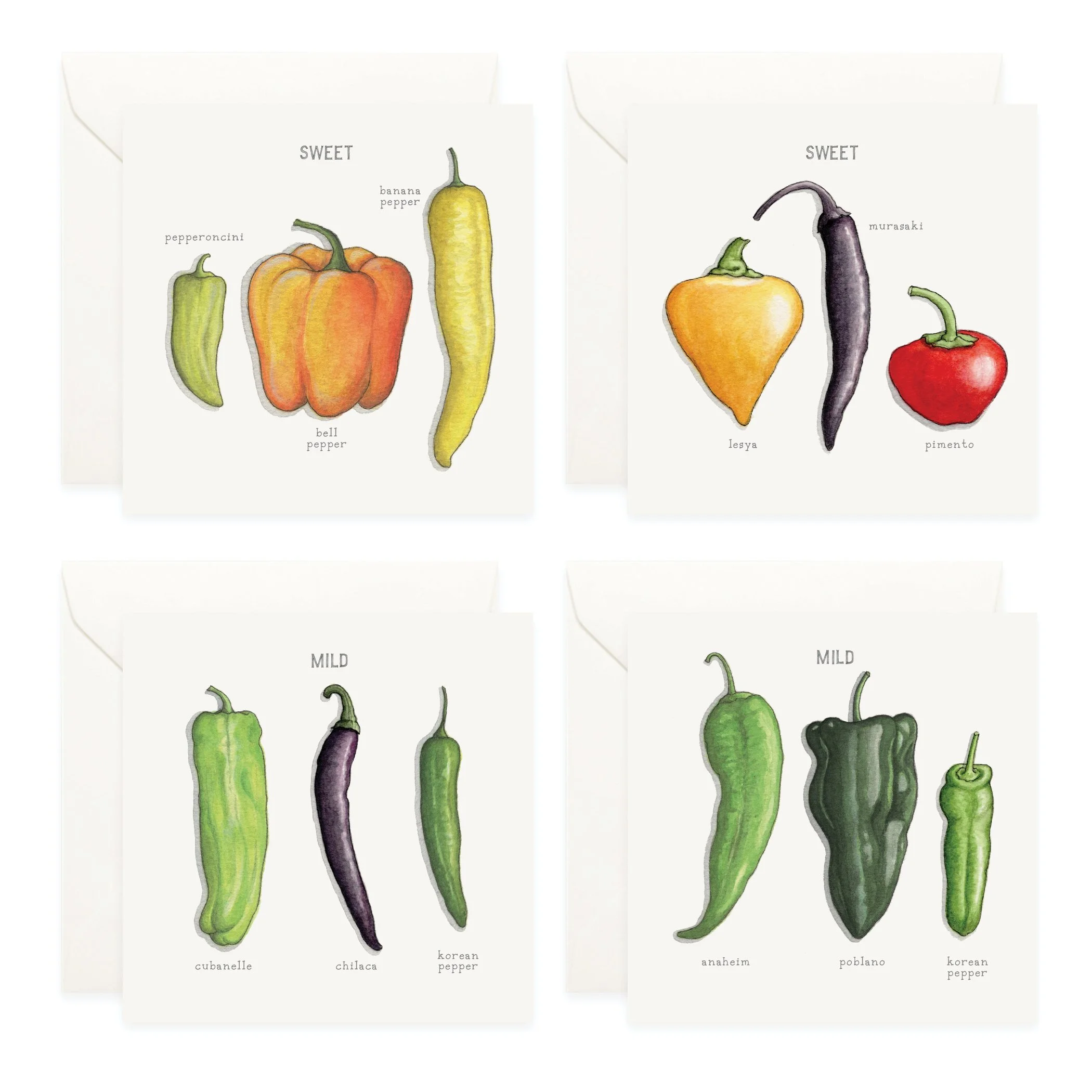 Shop_Box Set_Chile Peppers3.jpg
