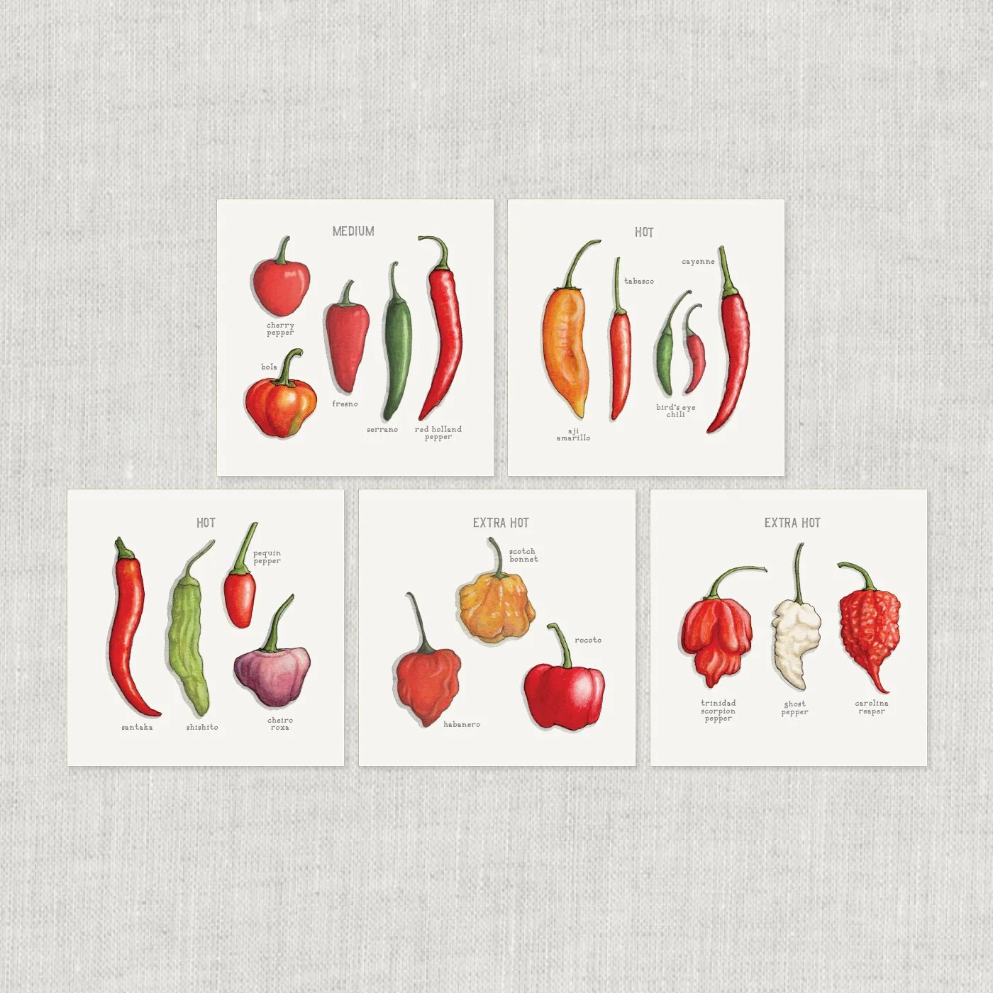 Shop_Cards_Chile Peppers2.jpg