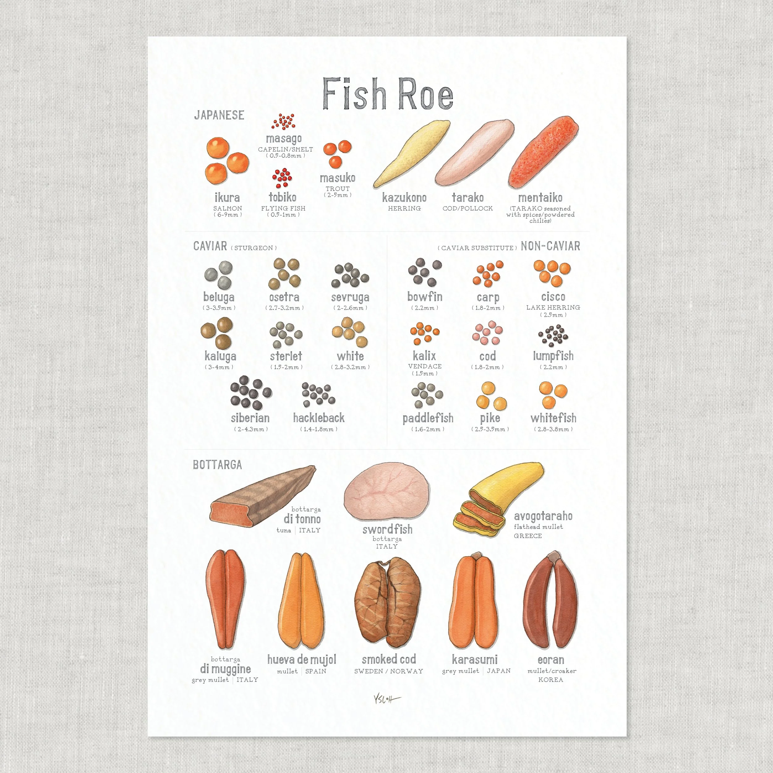Shop_Poster_13x19_Fish Roe3.jpg