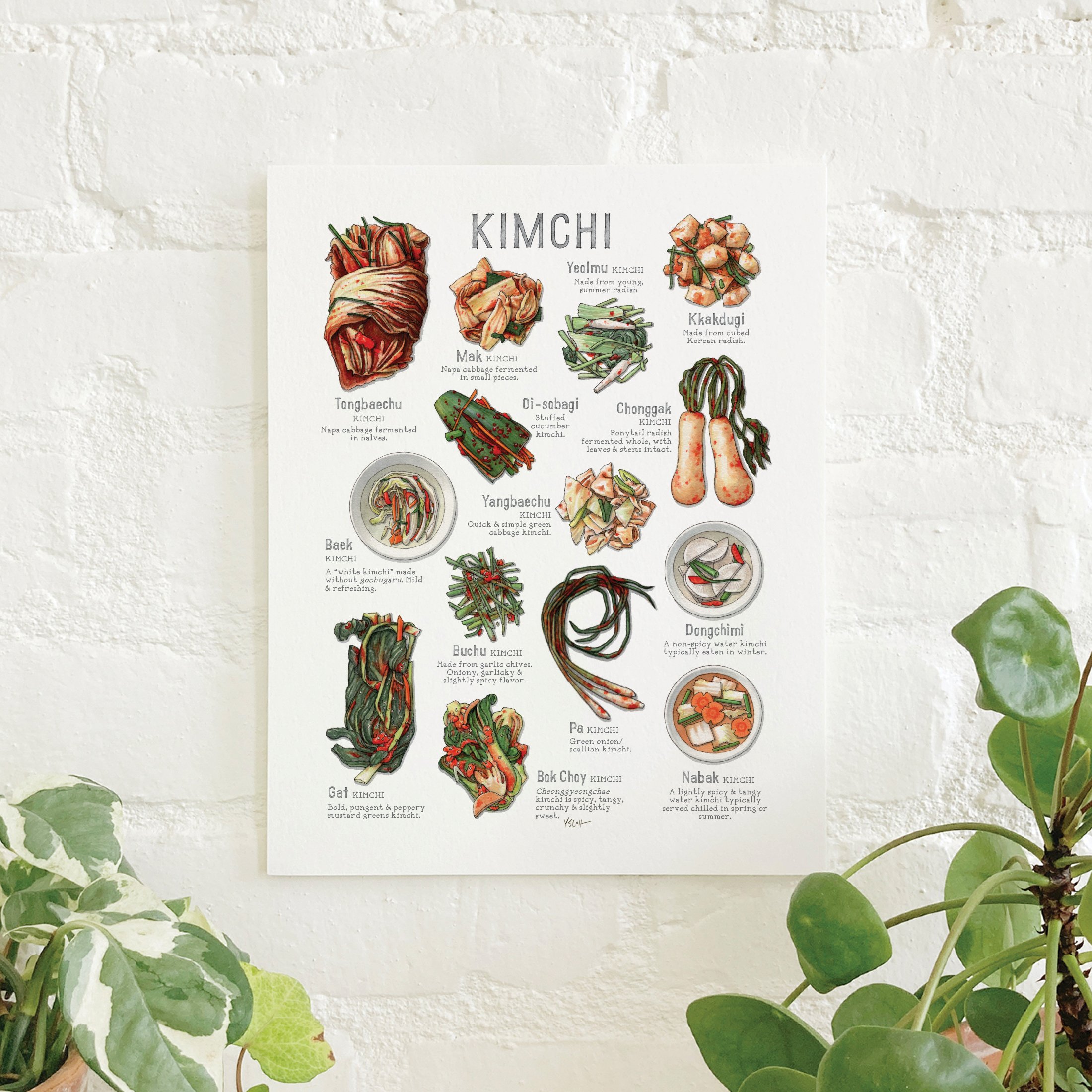 Shop_Prints_8.5x11_Kimchi.jpg