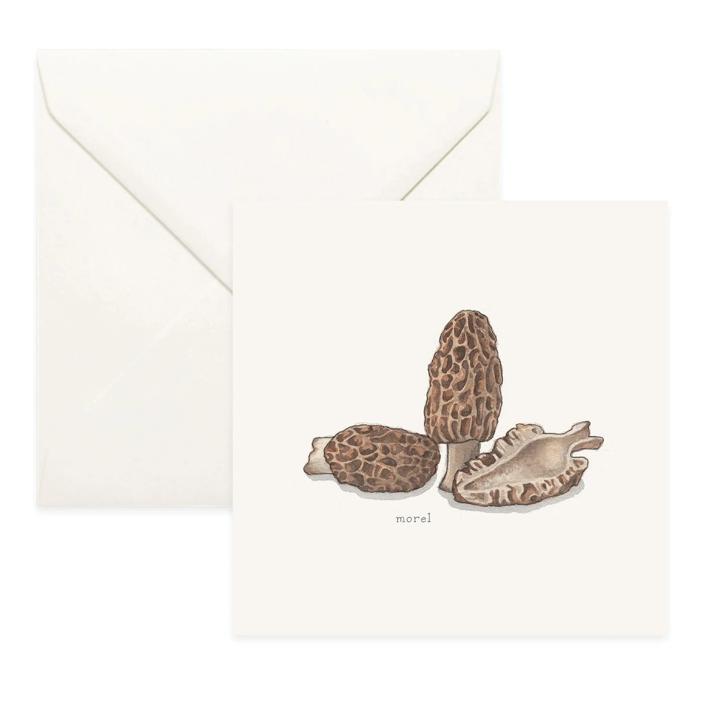 Shop_Cards_Mushrooms18.jpg