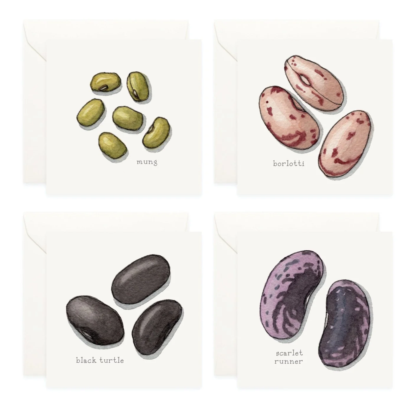 Shop_Mini Cards_Pulses_Beans4.jpg