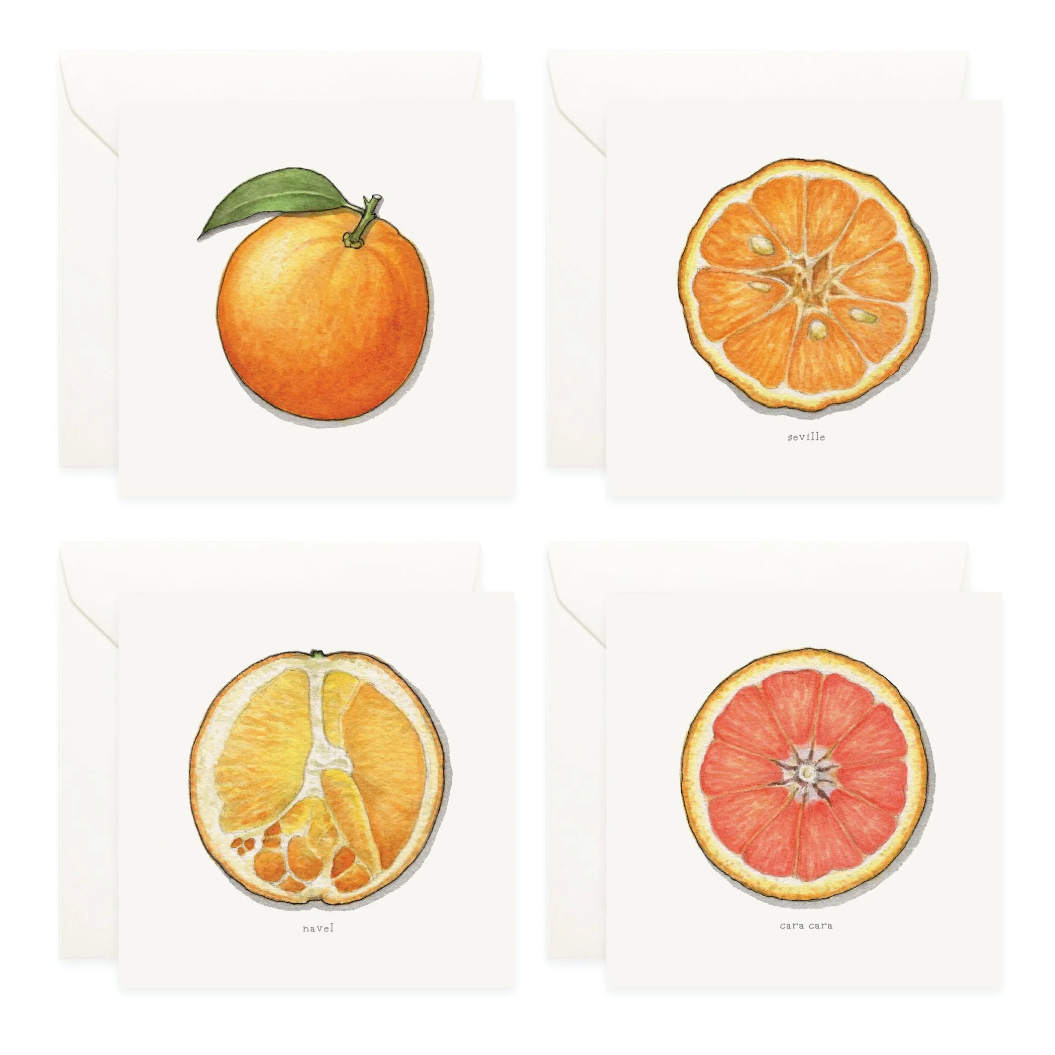 Shop_Box Set_Oranges3.jpg