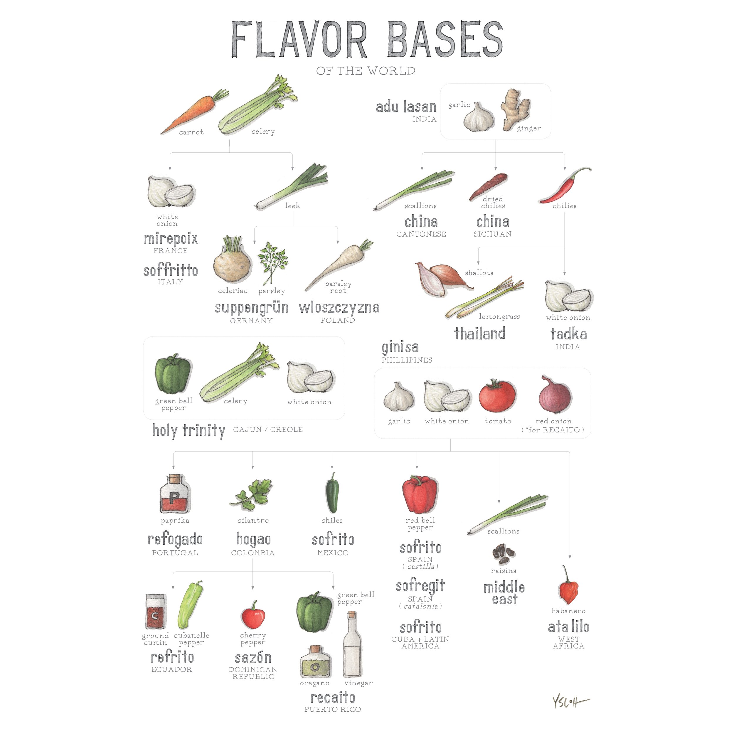 Flavor Bases of the World