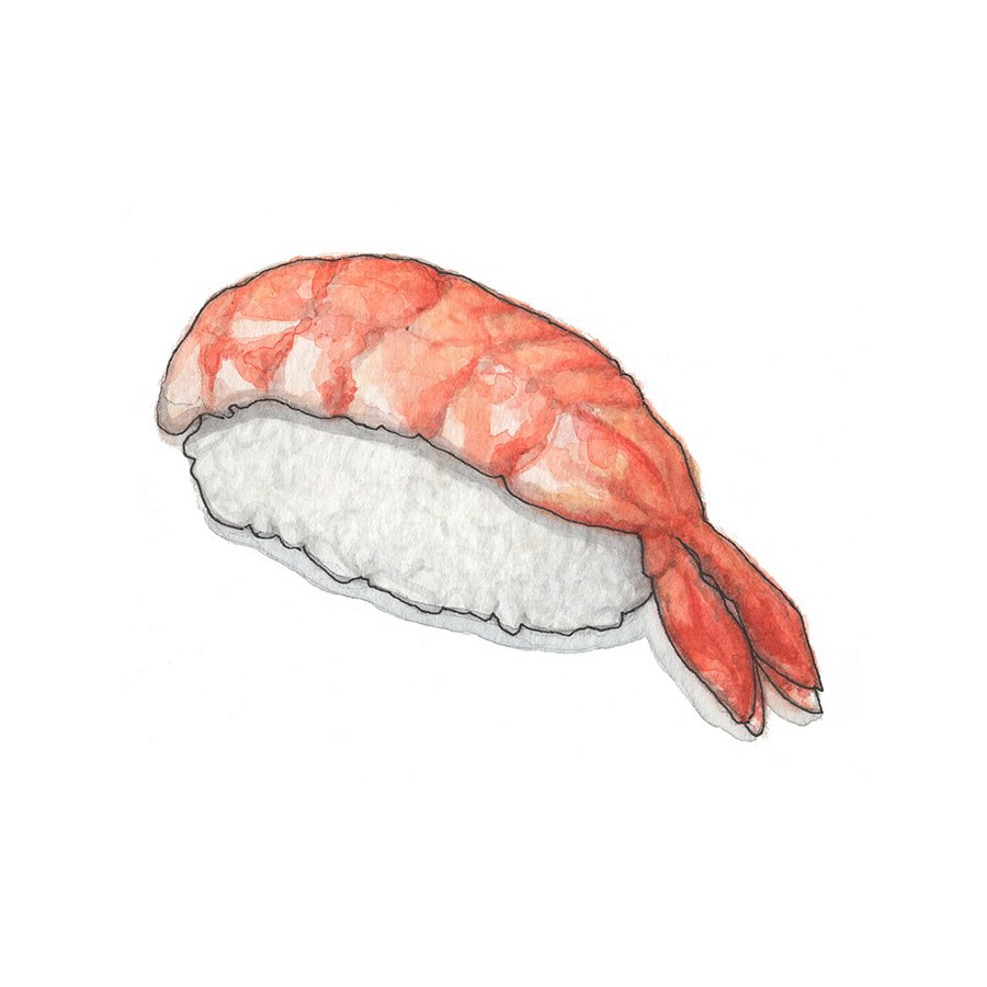 Shrimp Nigiri
