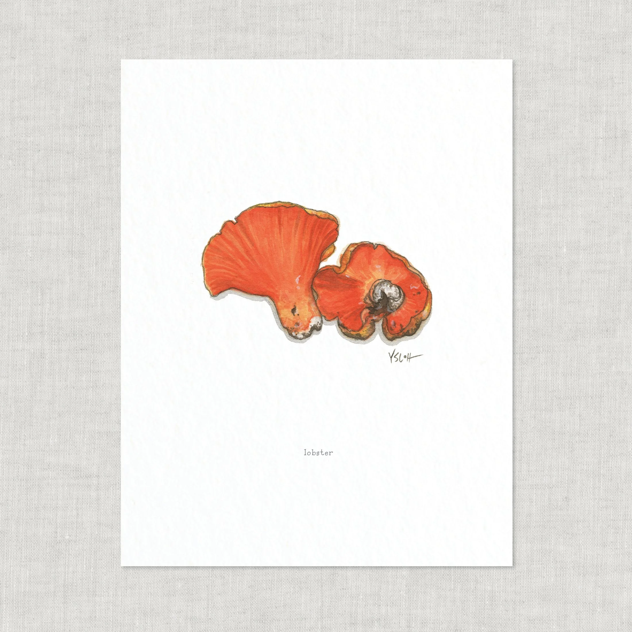 Shop_Prints_8.5x11_Mushrooms_W7.jpg