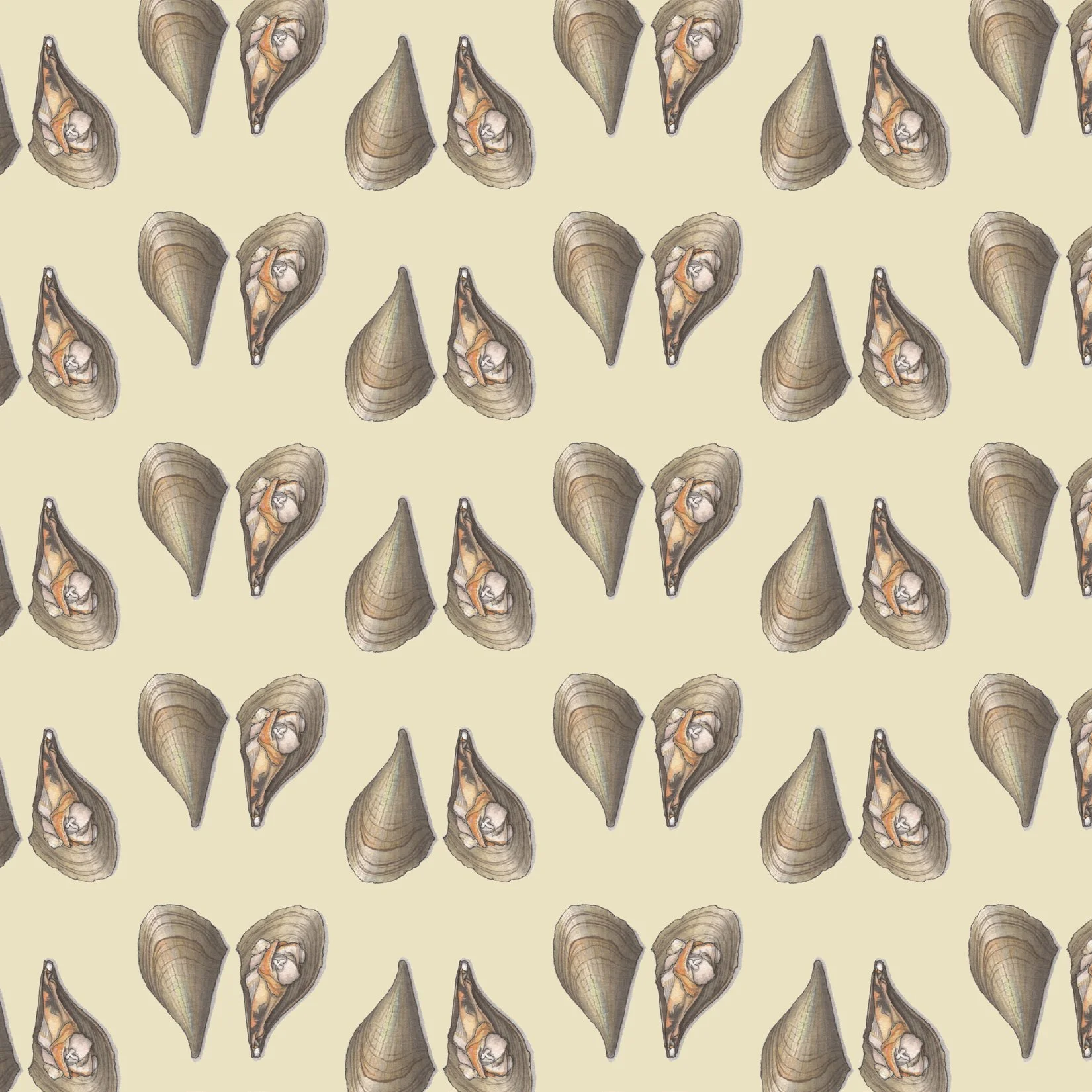 GW_Bivalves7.jpg