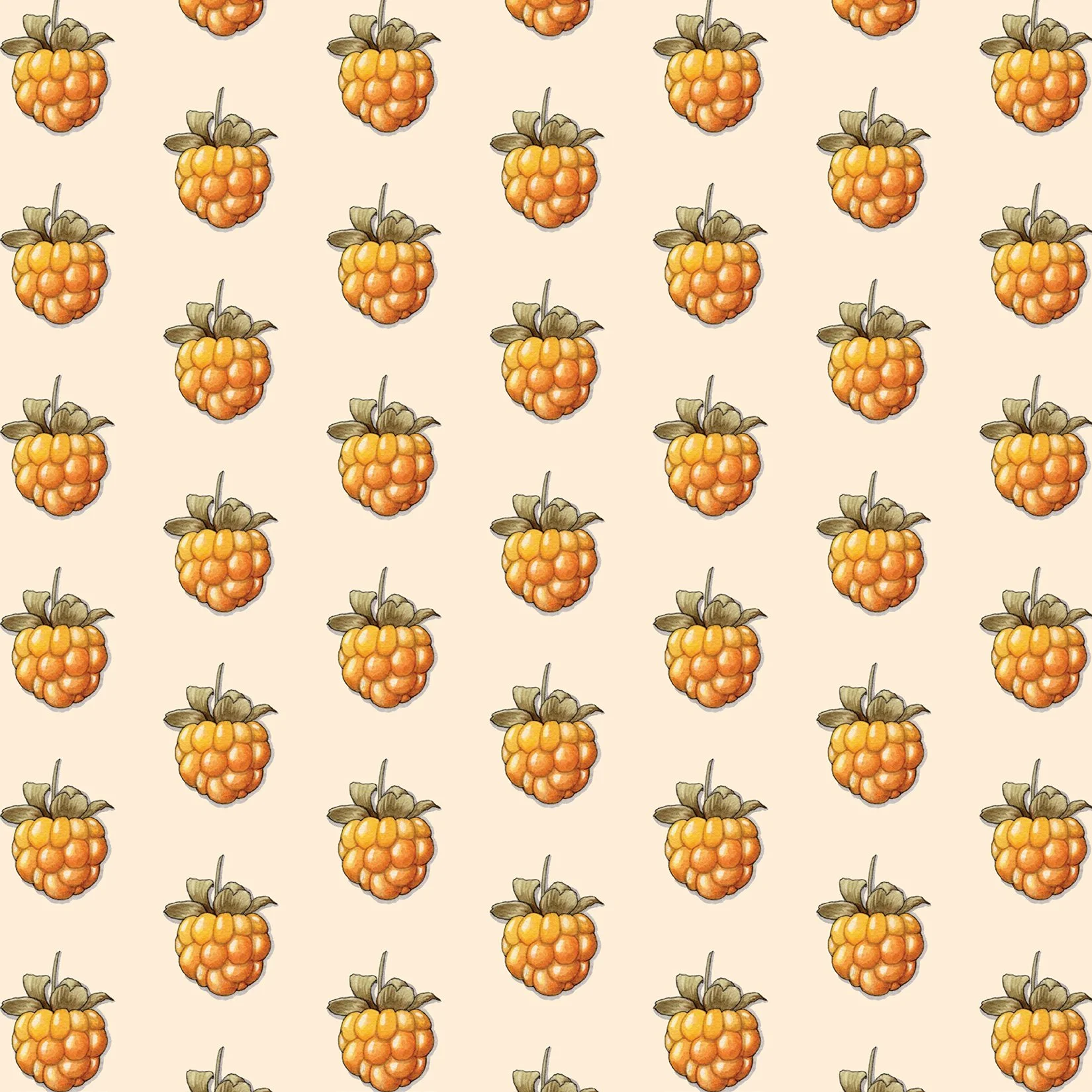 Berries_Gift Wrap6.jpg