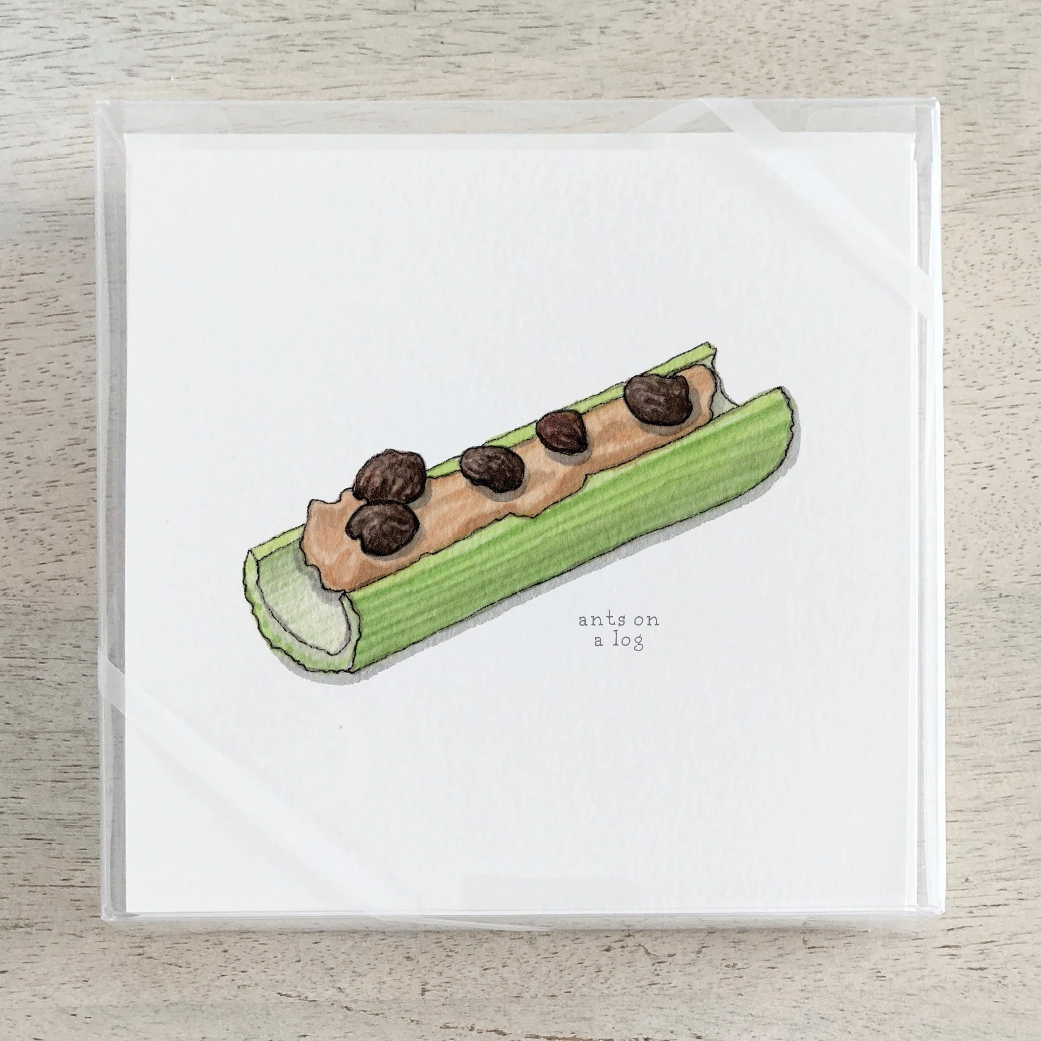 Shop_Box Set_Metaphor.jpg