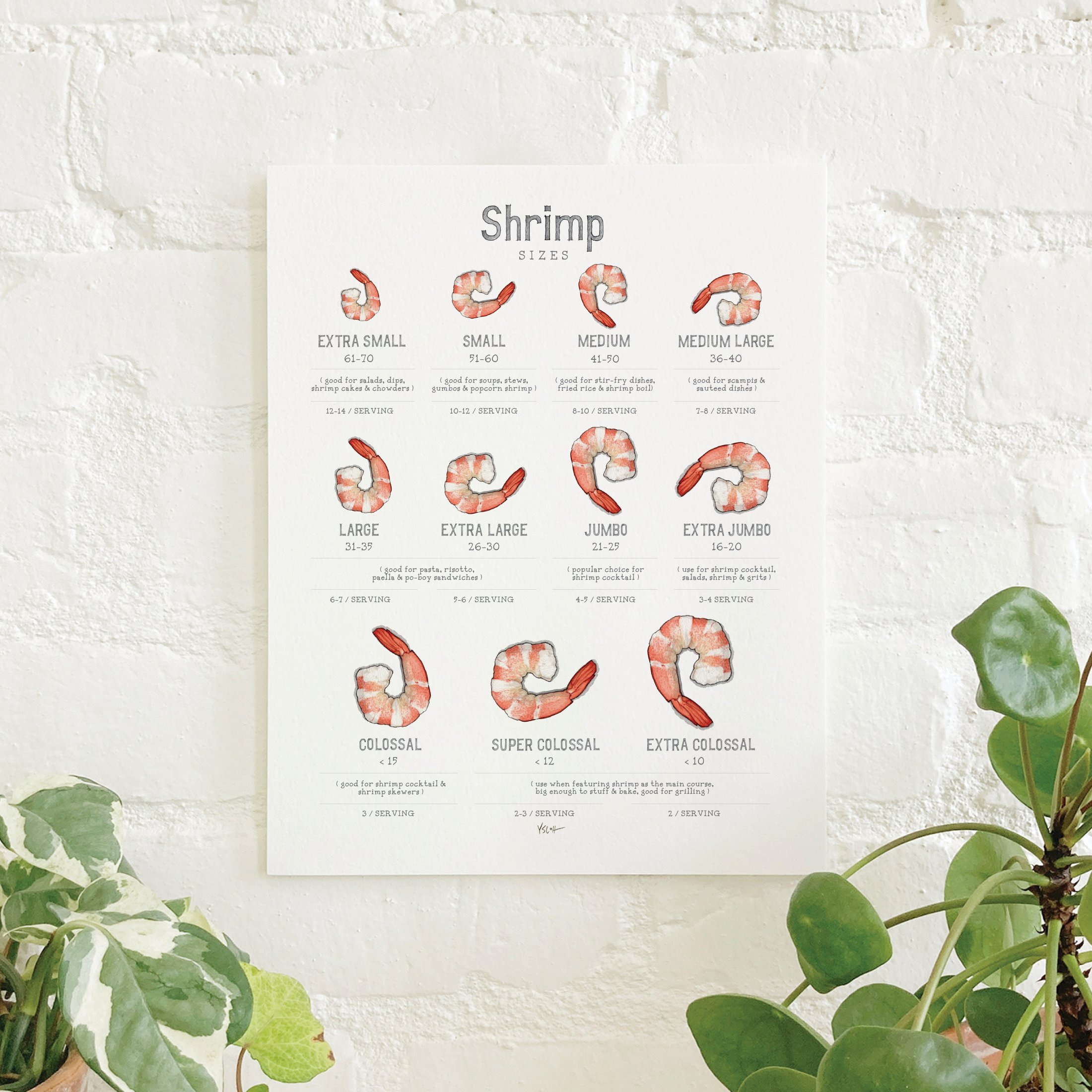 Shop_Cover_8.5x11_Shrimp.jpg