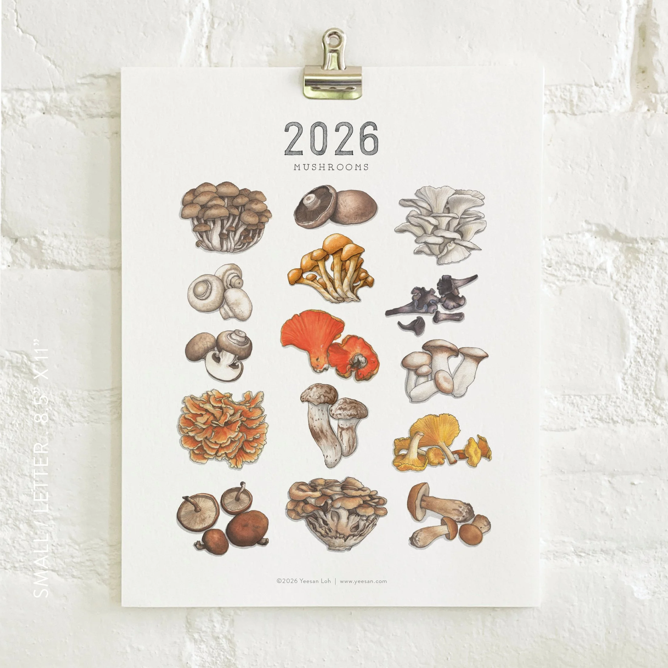 2026_shop_Calendars_Mushrooms6.jpg