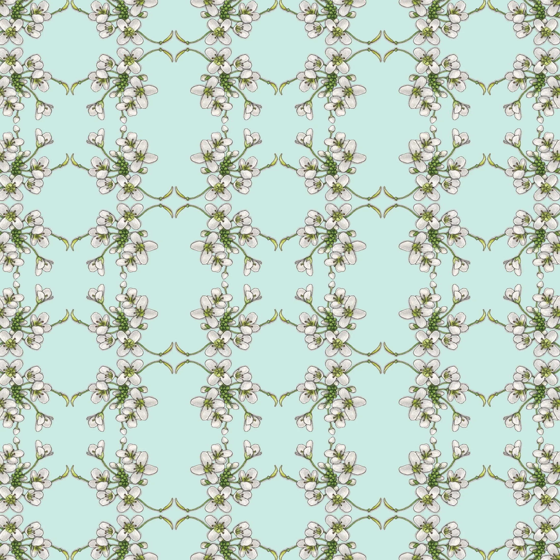 Wasabi_Gift Wrap.jpg