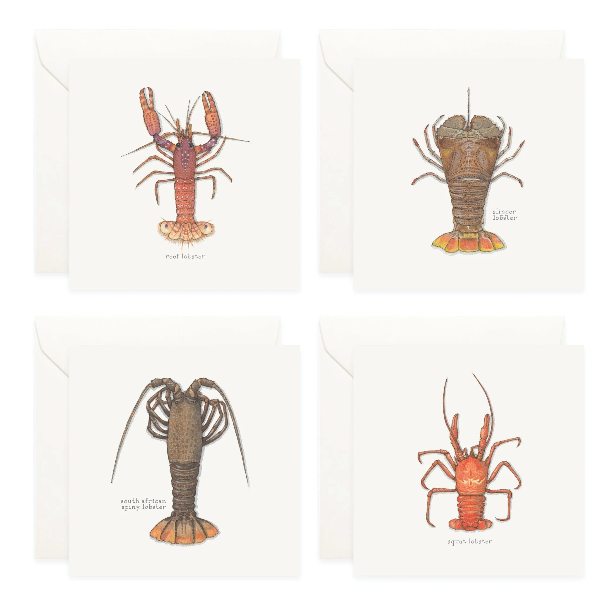 Shop_Box Set_Lobsters5.jpg