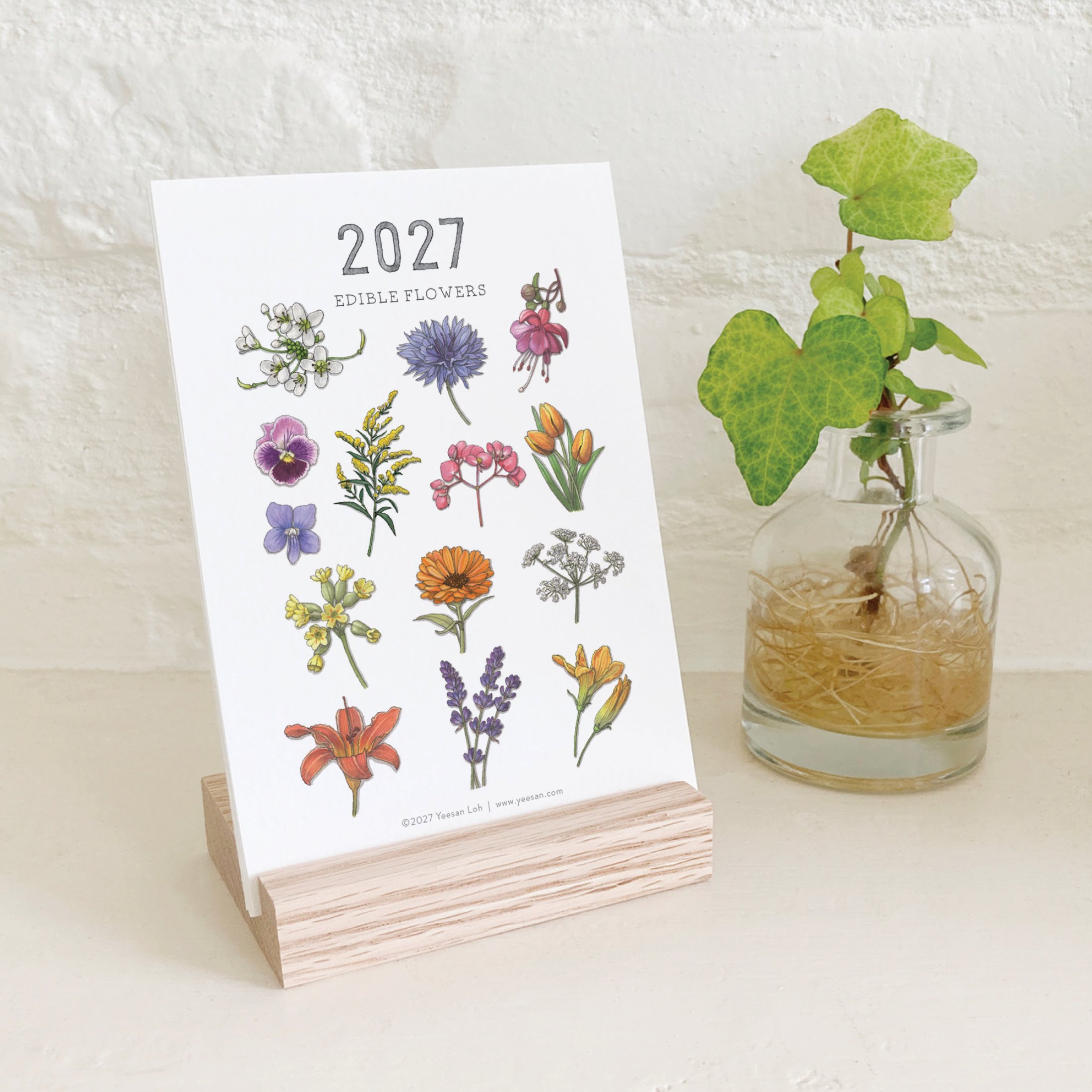 2027_shop_CAL_Flowers10.jpg