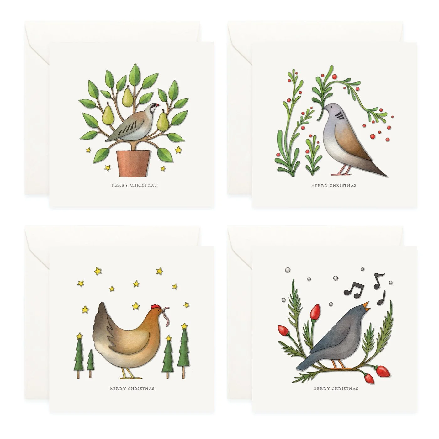 Shop_Box Set_CCBox_12 Days_no text5.jpg