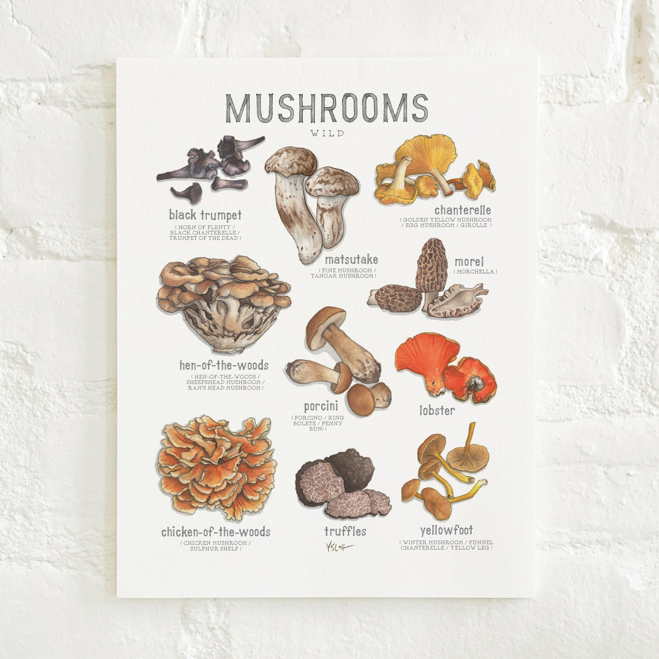 Shop_Prints_8.5x11_Mushrooms5.jpg