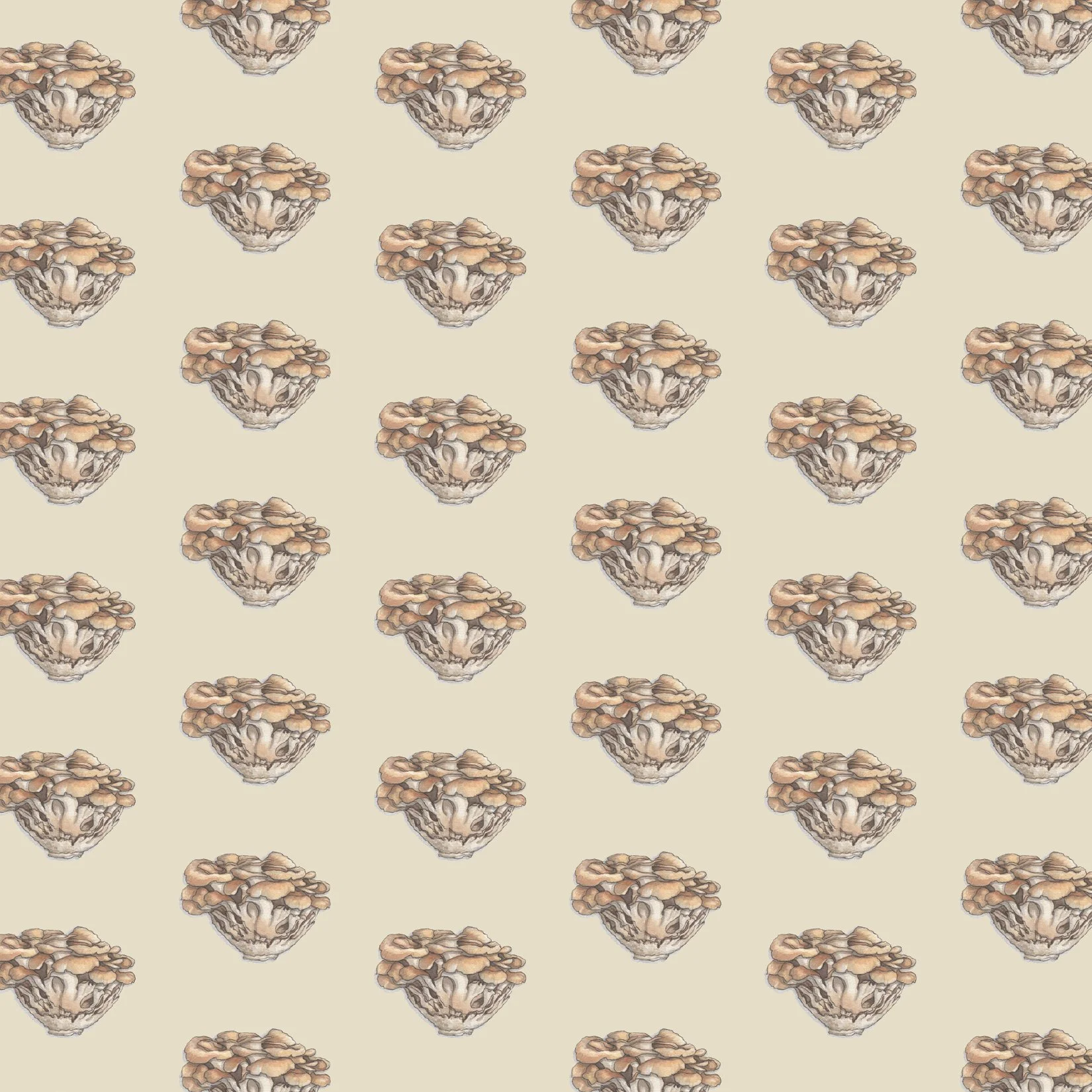 Mushroom_Gift Wrap9.jpg