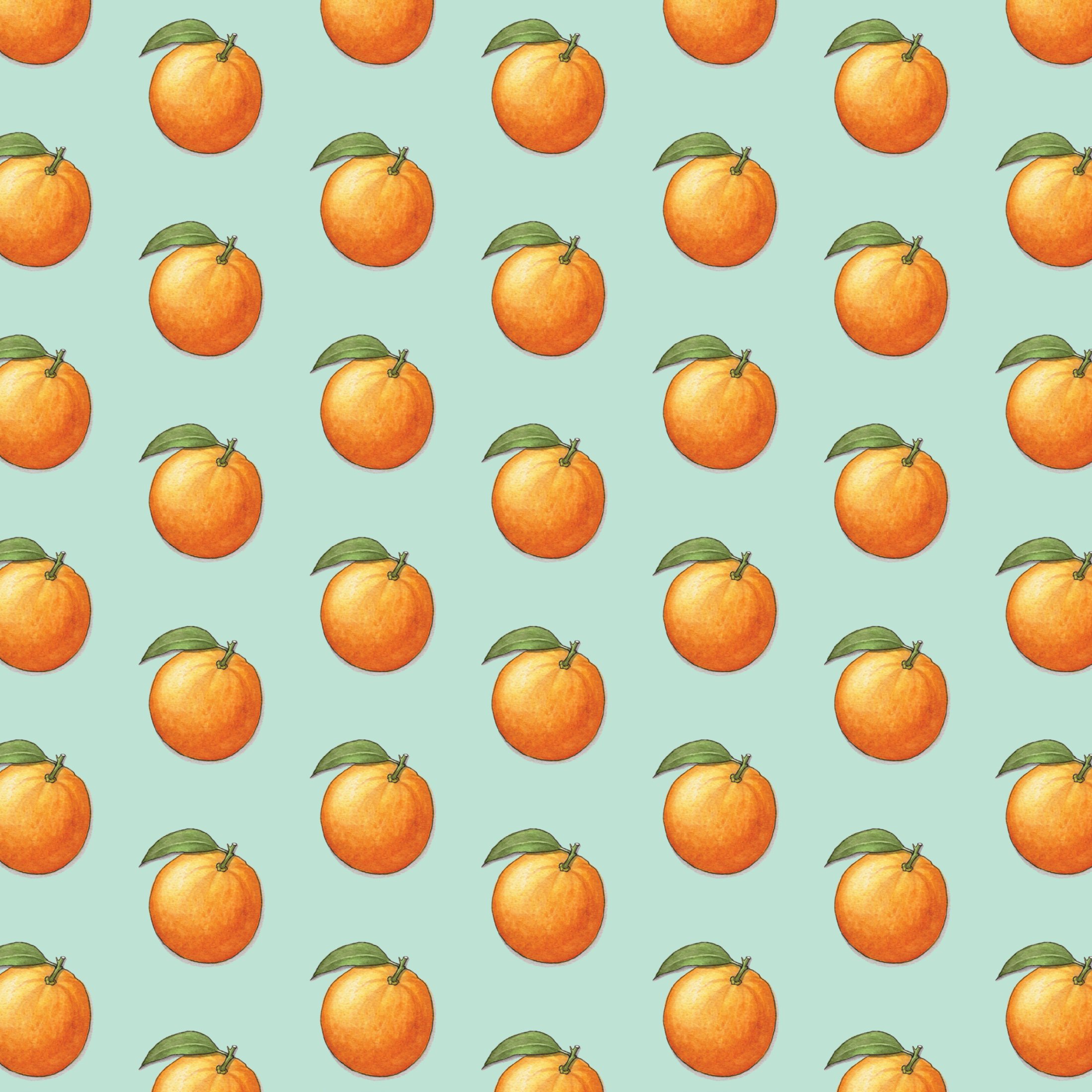 Shop_GW_Oranges3.jpg